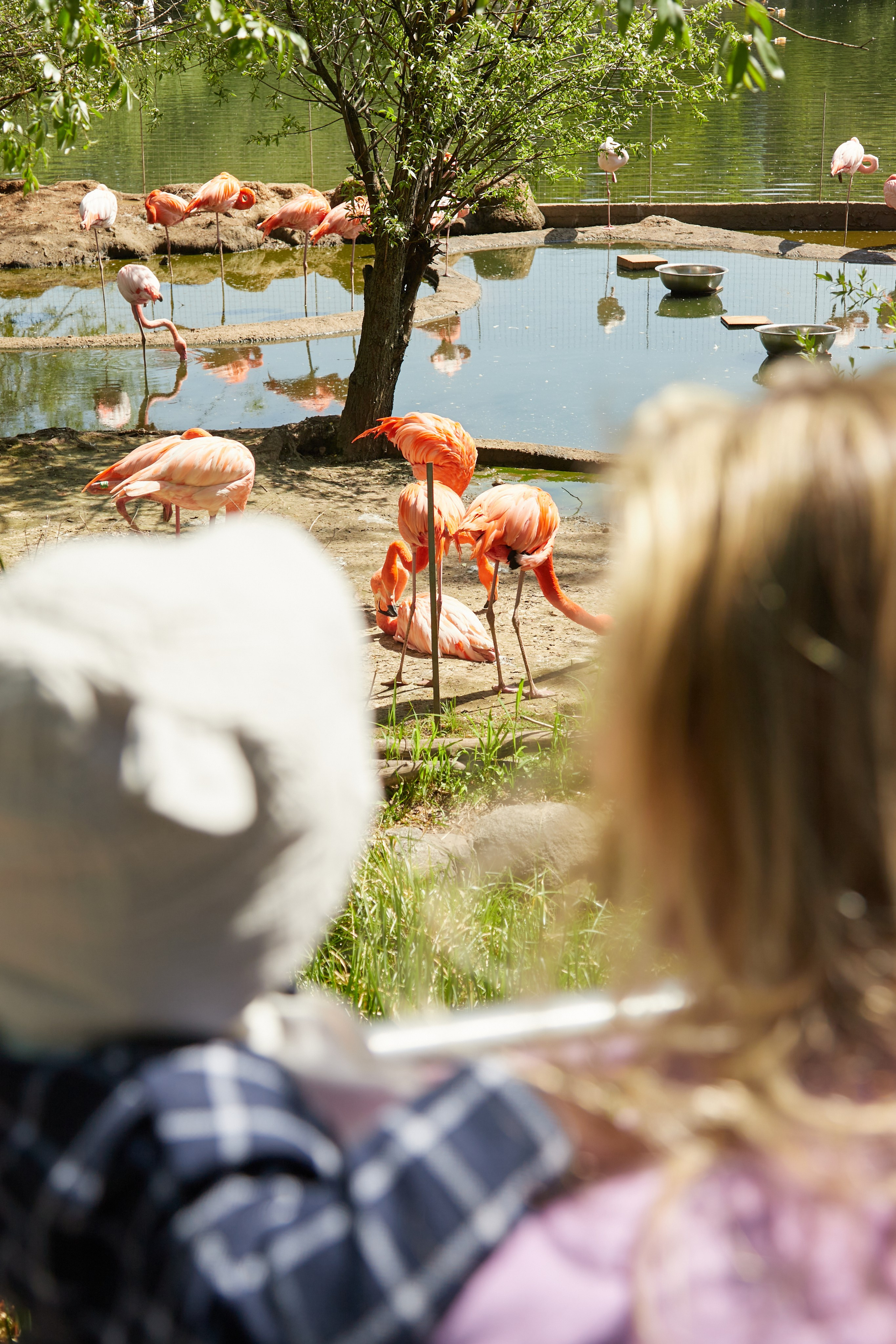 Семейная на улице. Профессиональный фотограф в Москве