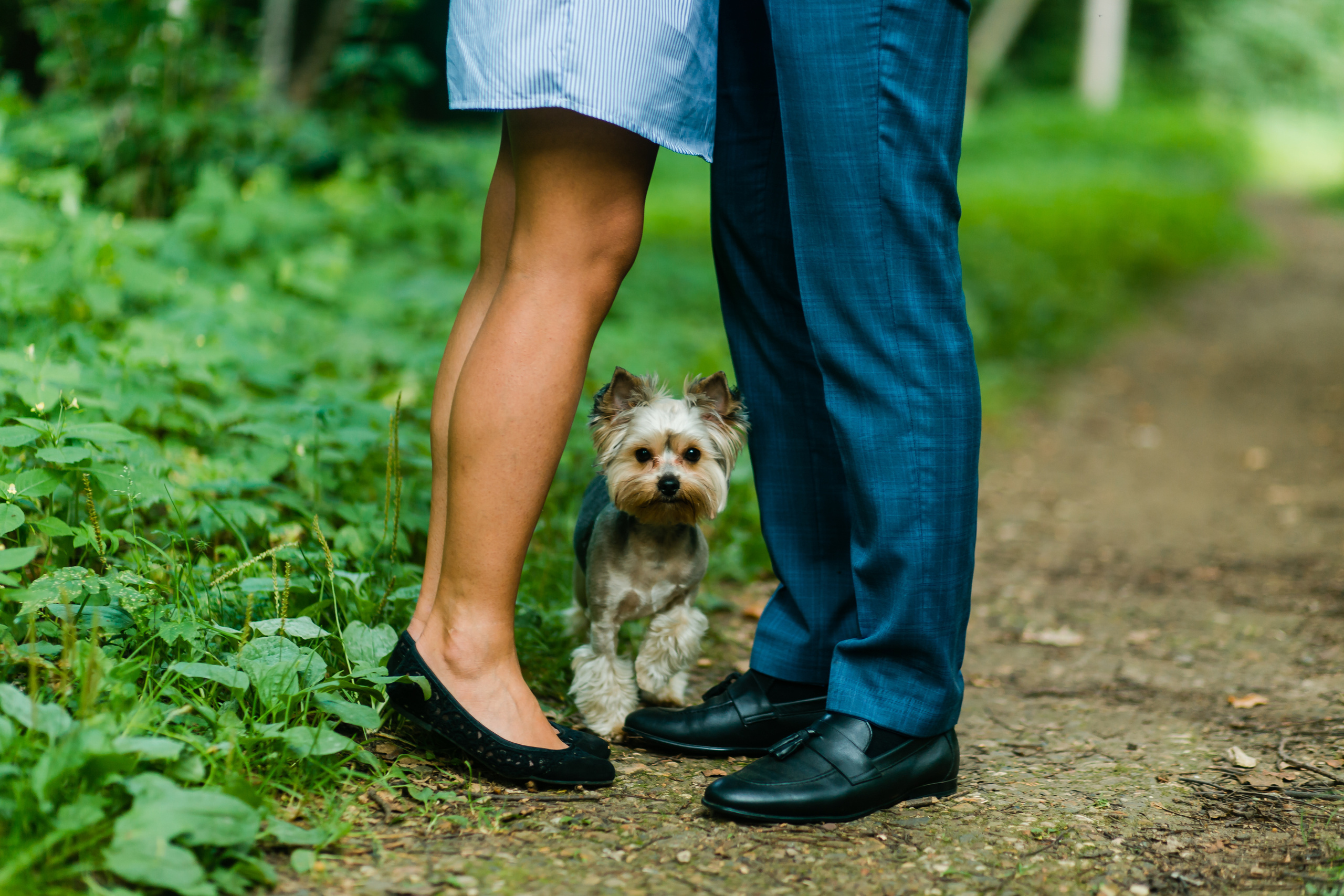 Фотограф Анна Хомко. Фотосъемка свадеб. Свадебный фотограф в Москве. Фотограф Анна Хомко. Фотосъемка свадеб. Фото и видео на свадьбу
