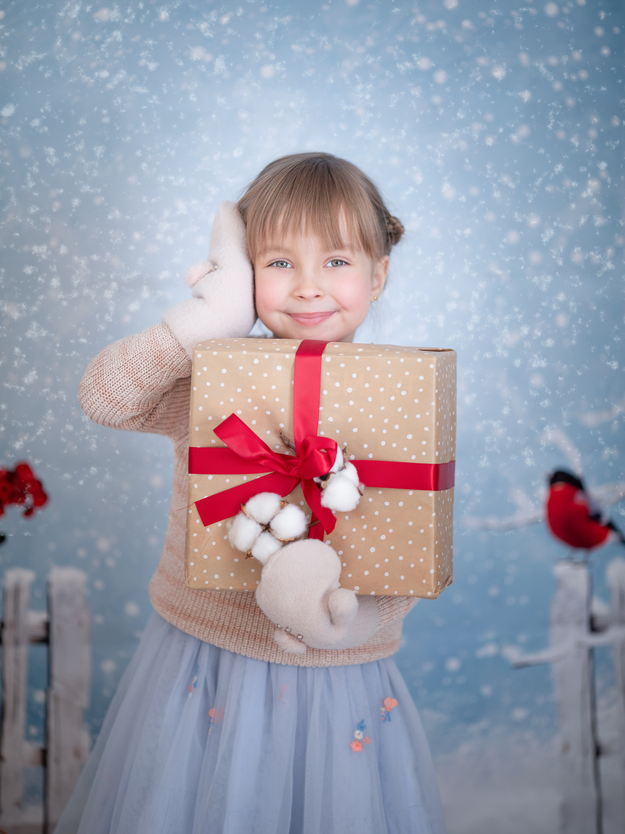 Снегири. Семейный и детский фотограф София Шарабурко, Томская область