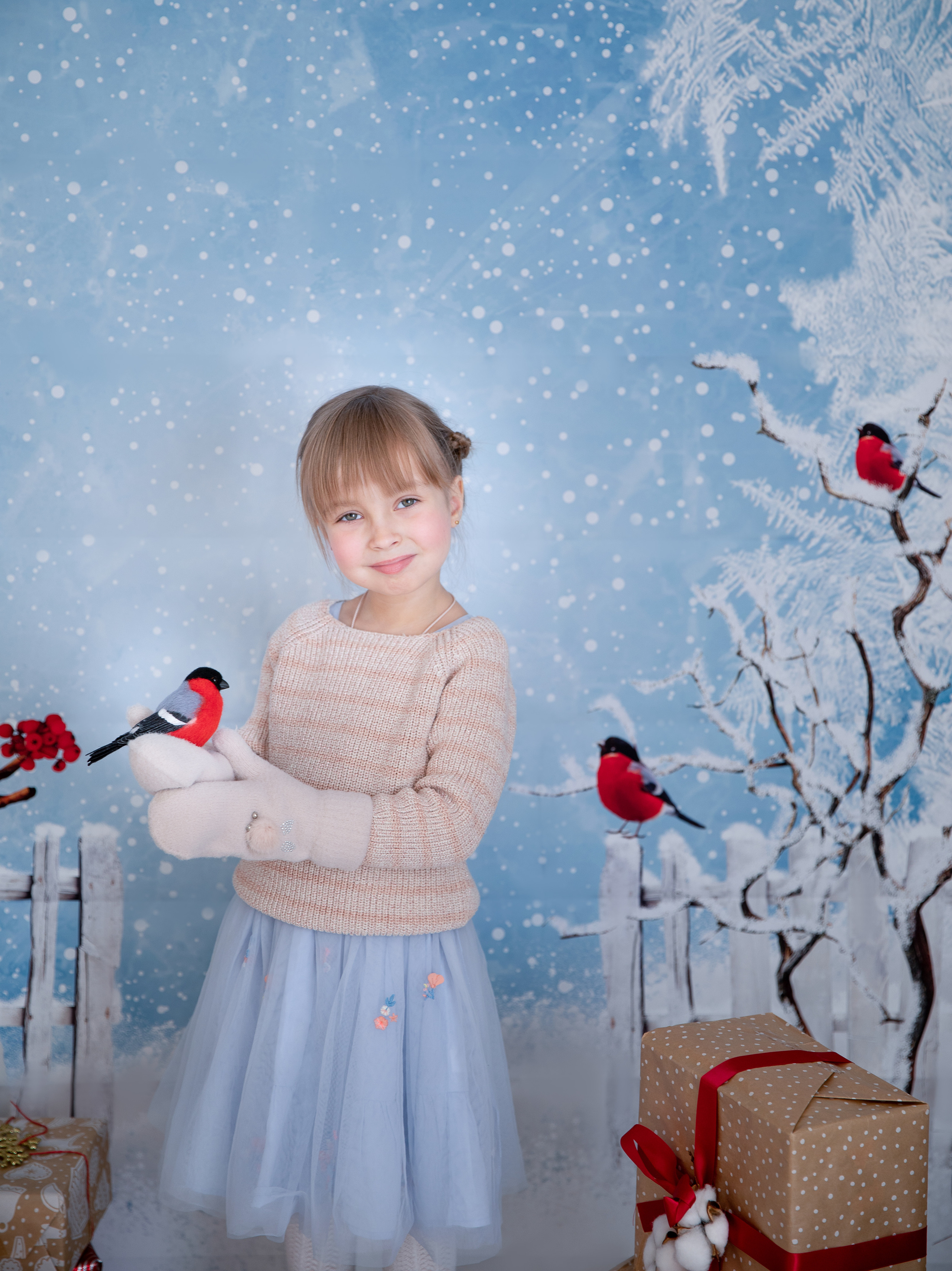 Снегири. Семейный и детский фотограф София Шарабурко, Томская область