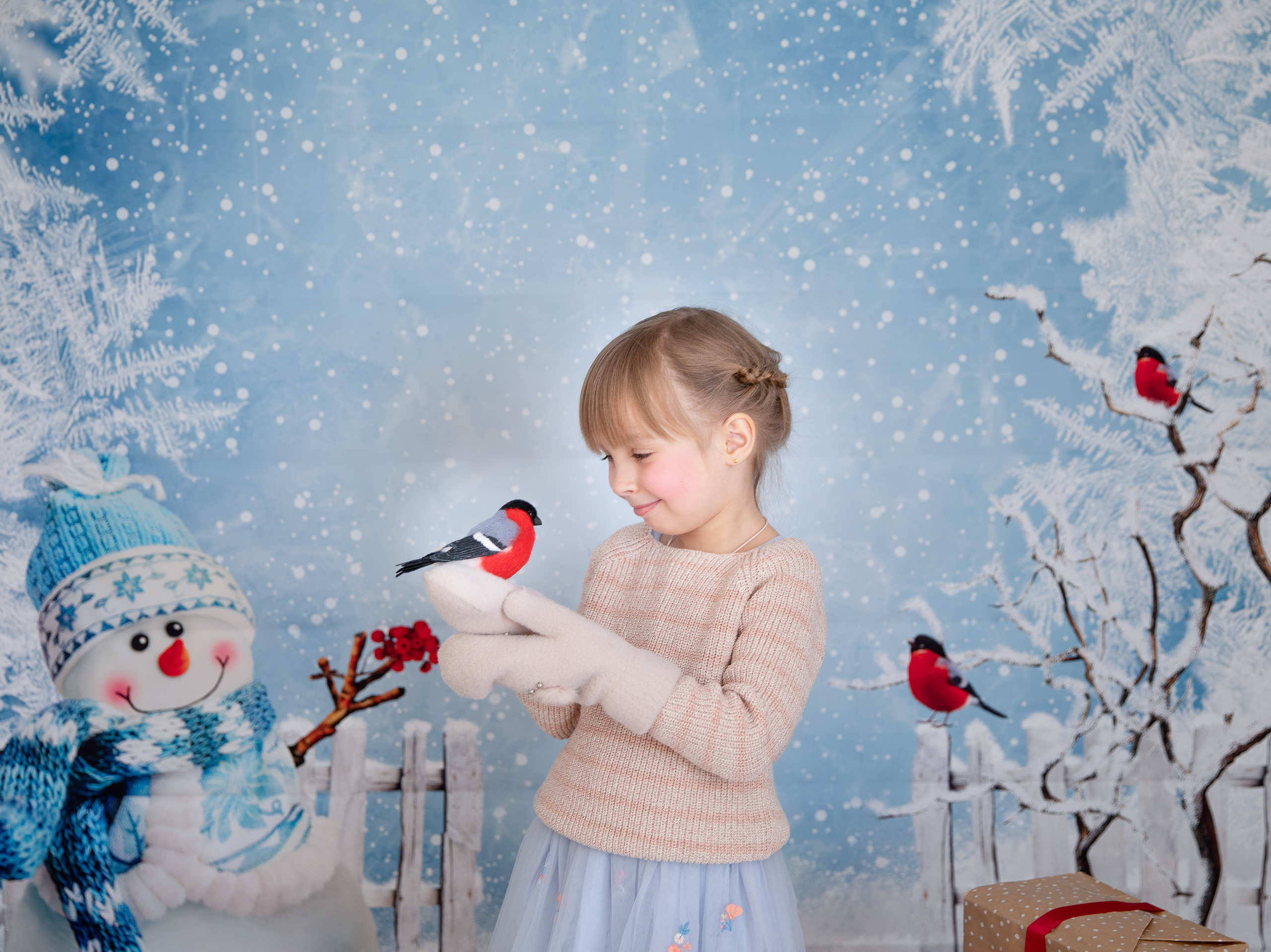 Снегири. Семейный и детский фотограф София Шарабурко, Томская область