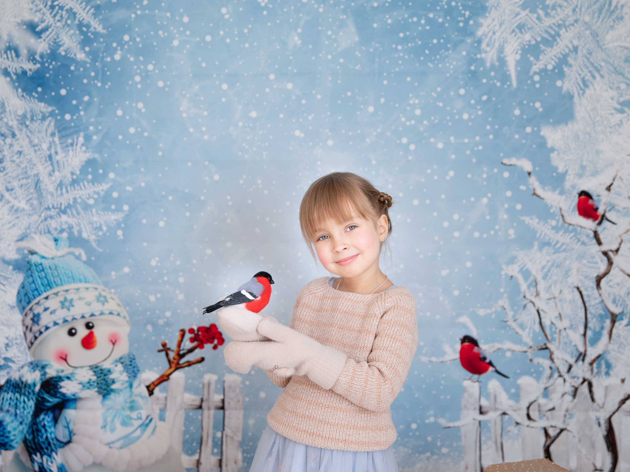 Снегири. Семейный и детский фотограф София Шарабурко, Томская область