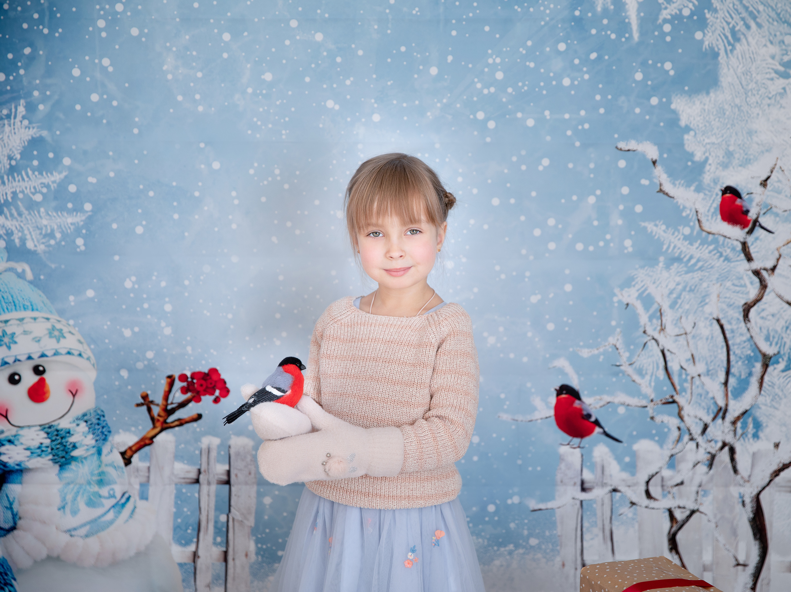 Снегири. Семейный и детский фотограф София Шарабурко, Томская область