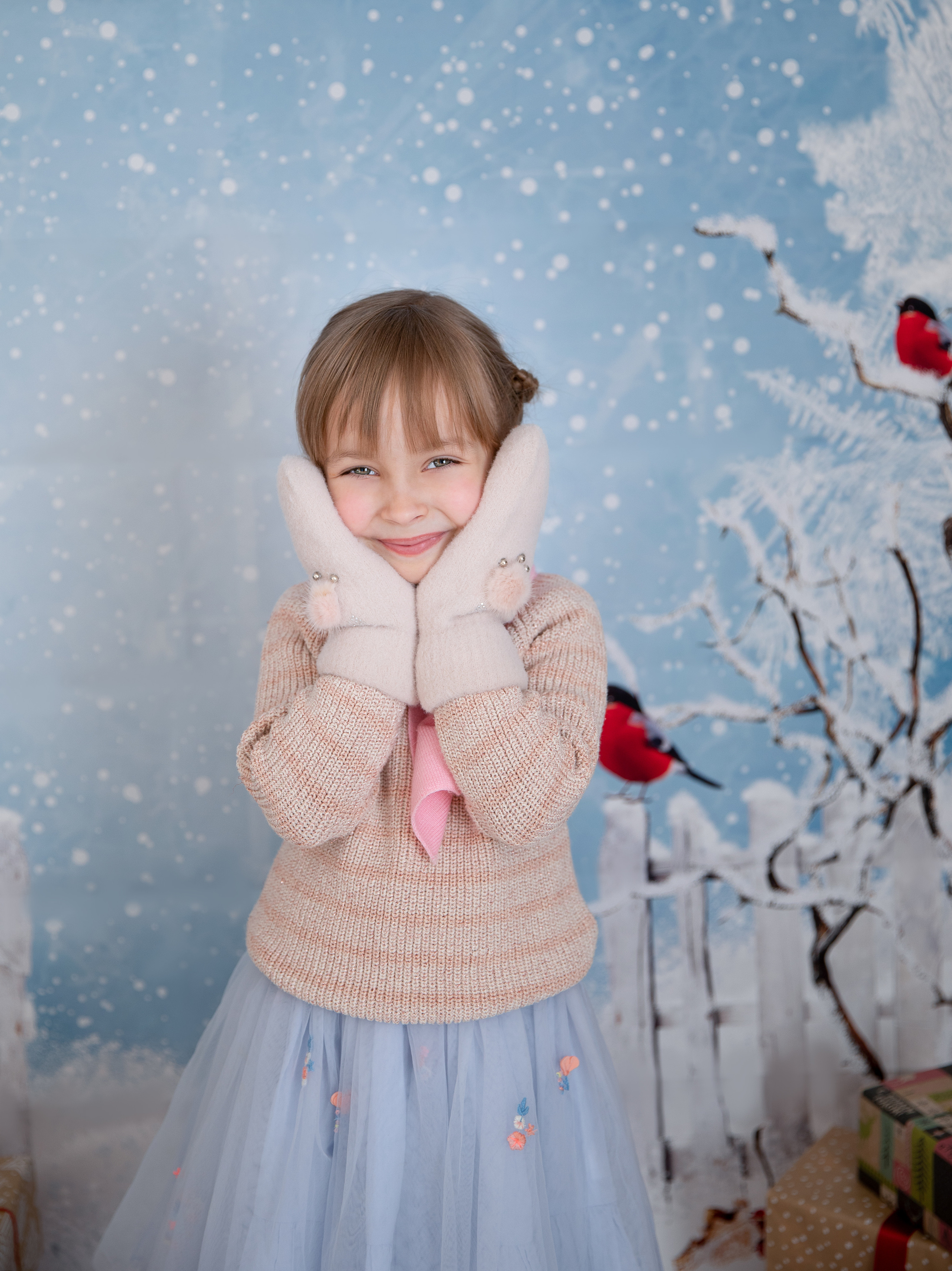 Снегири. Семейный и детский фотограф София Шарабурко, Томская область