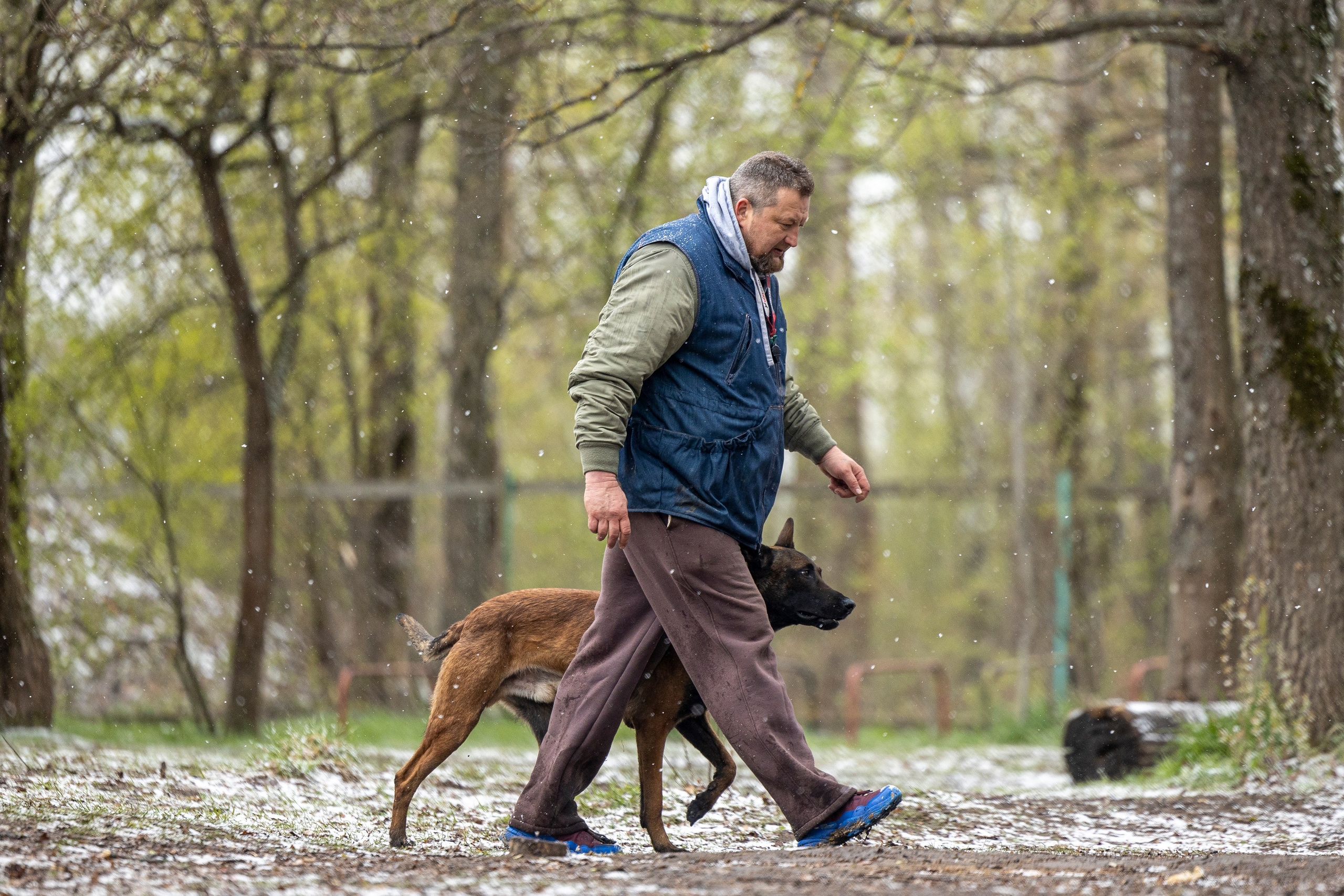 Квалификационные состязания по мондьорингу г. Вологда 11.05.24. Фотограф-анималист Анна Маринич