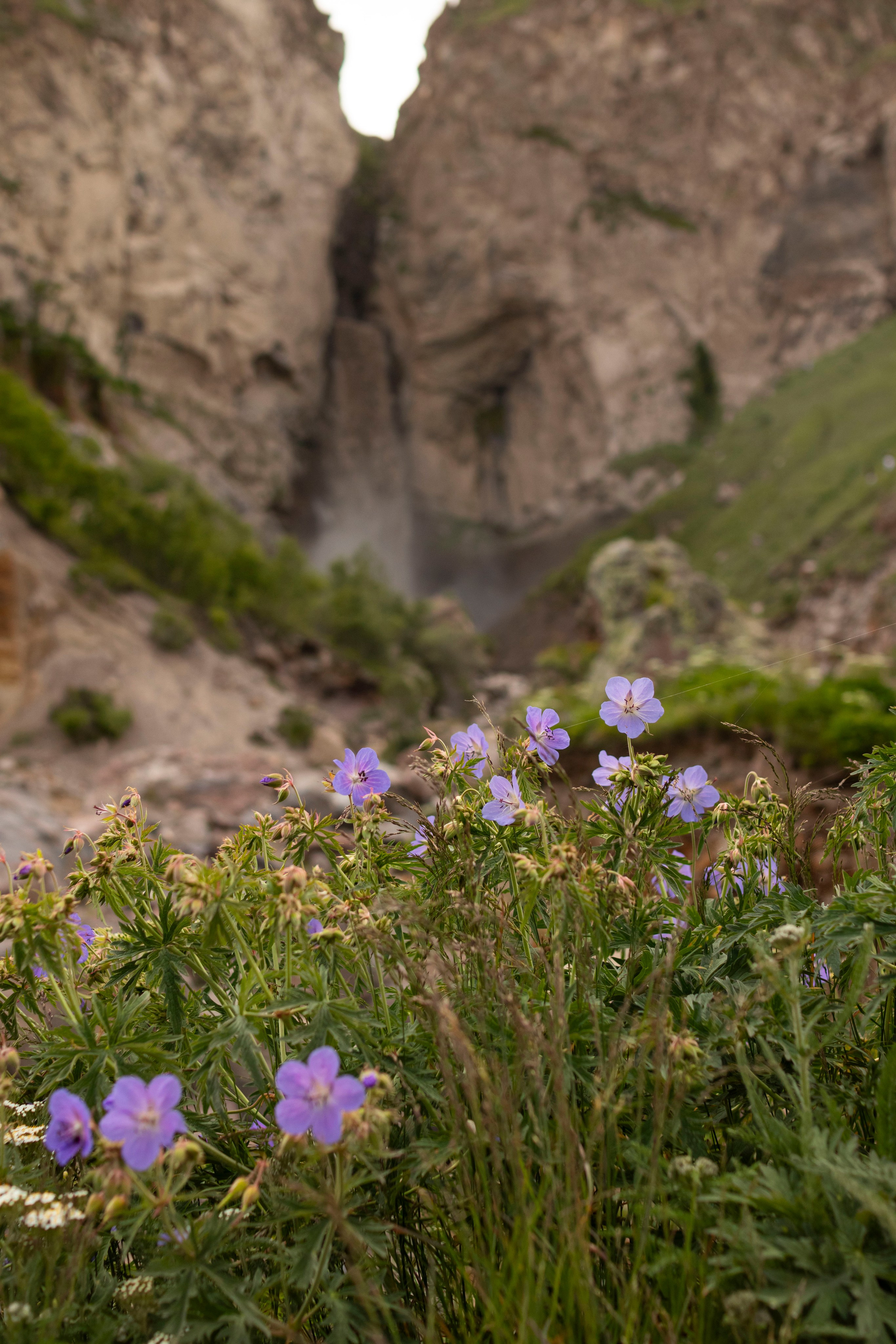 Репортажи / мероприятия. Свадебный фотограф в Москве Александра Соболева |Weddings, people, travel, etc