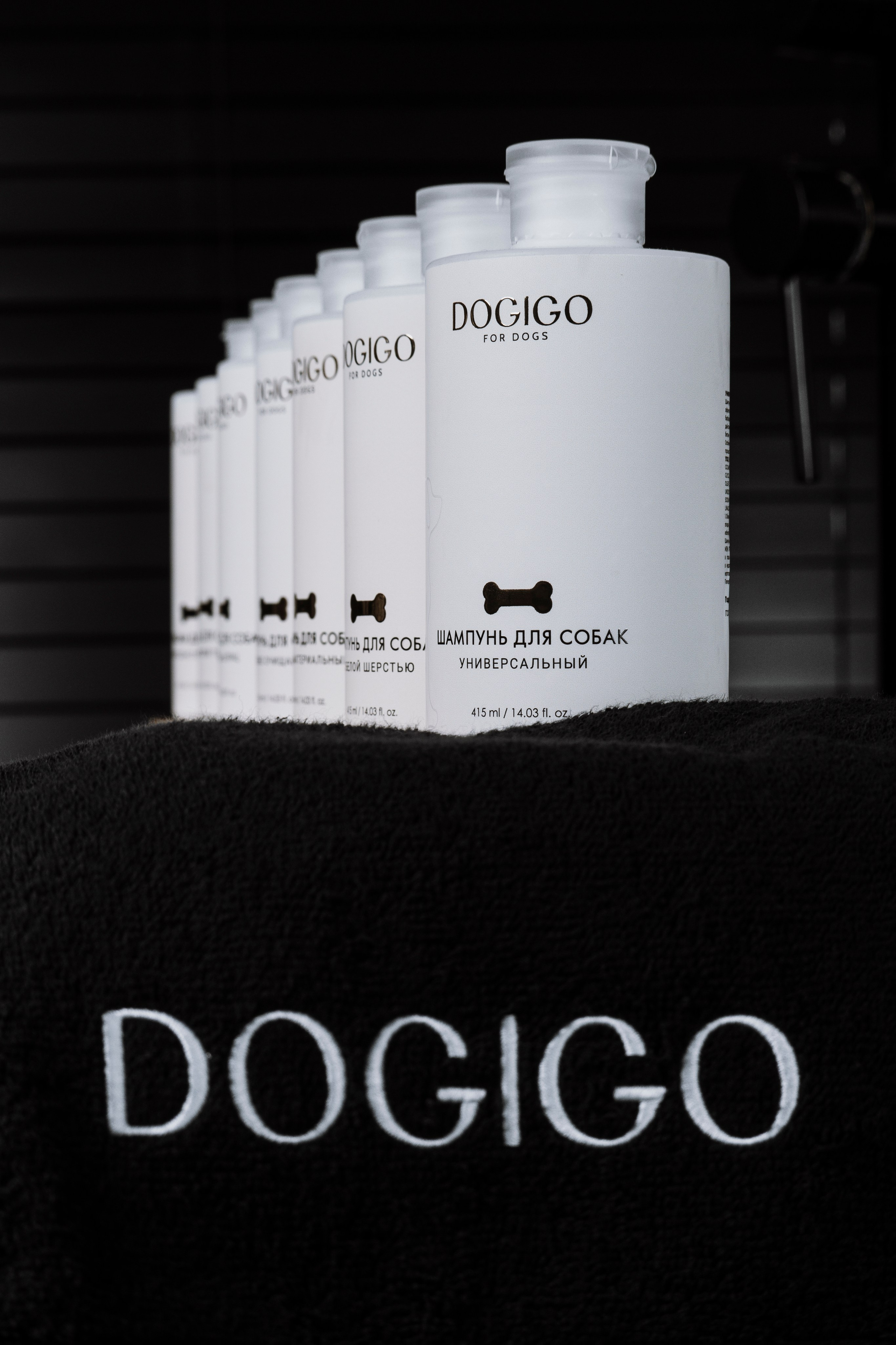 DOGIGO. Фотограф анималист в Санкт-Петербурге Таша Крейв