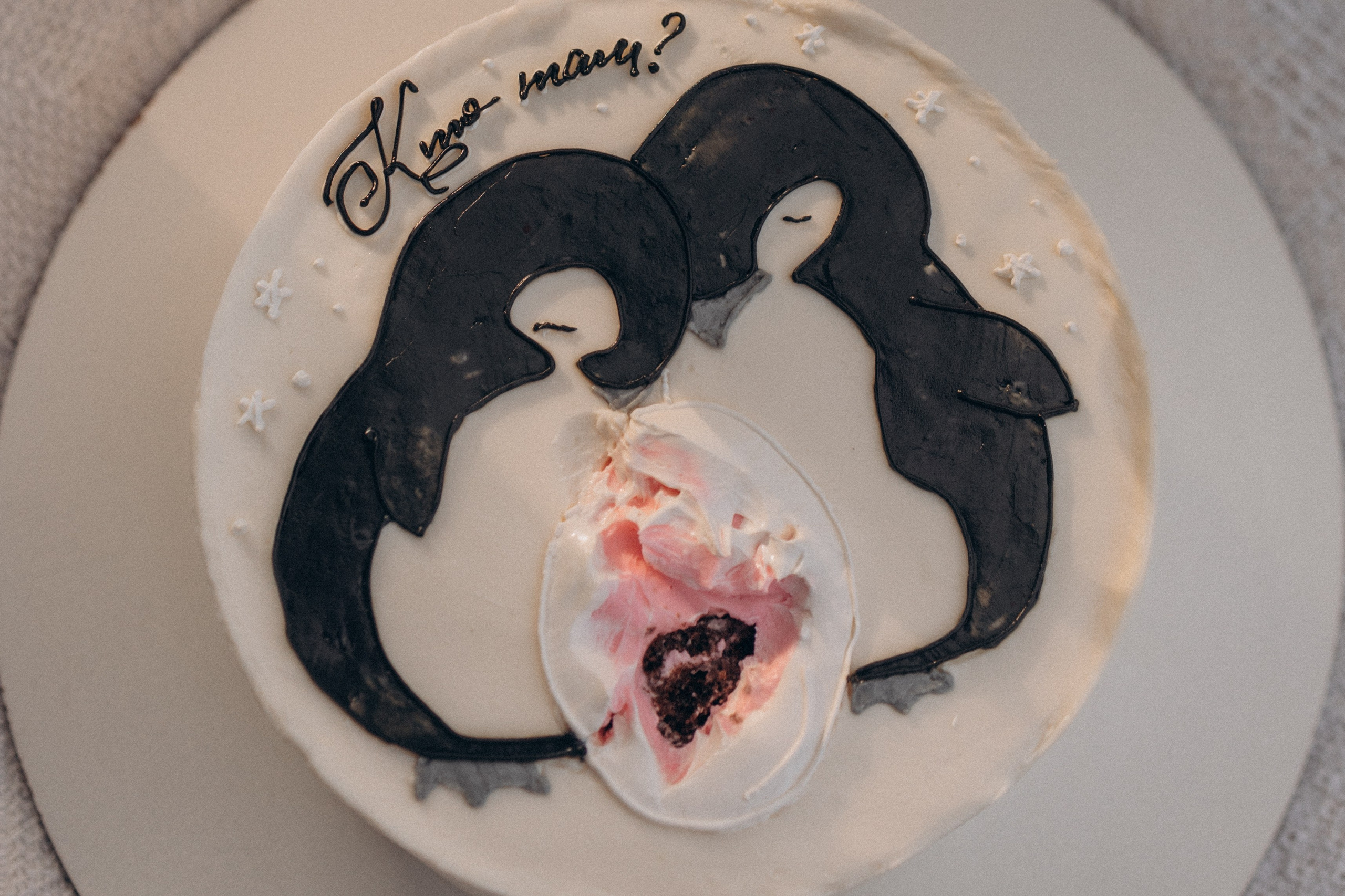 Дима и Аня. Семейный и женский фотограф в Москве Коновалова Олеся