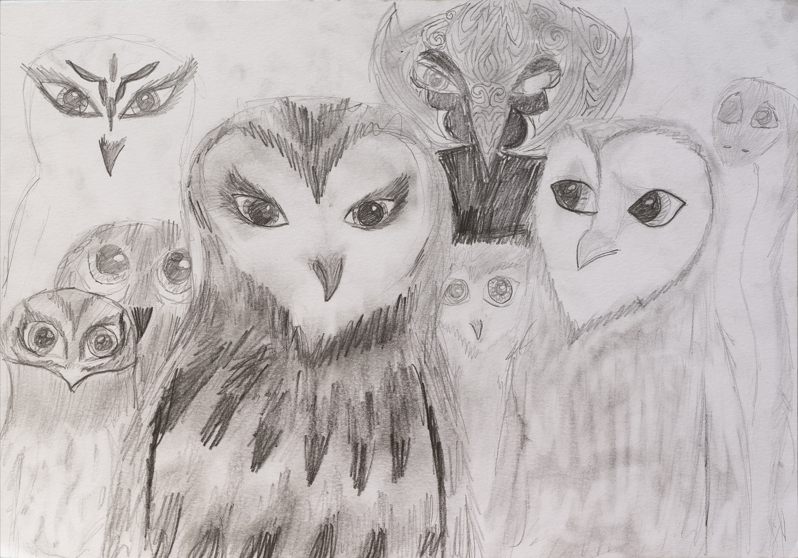 Совушки бумага, карандаш, 24×29,7 см, 2012