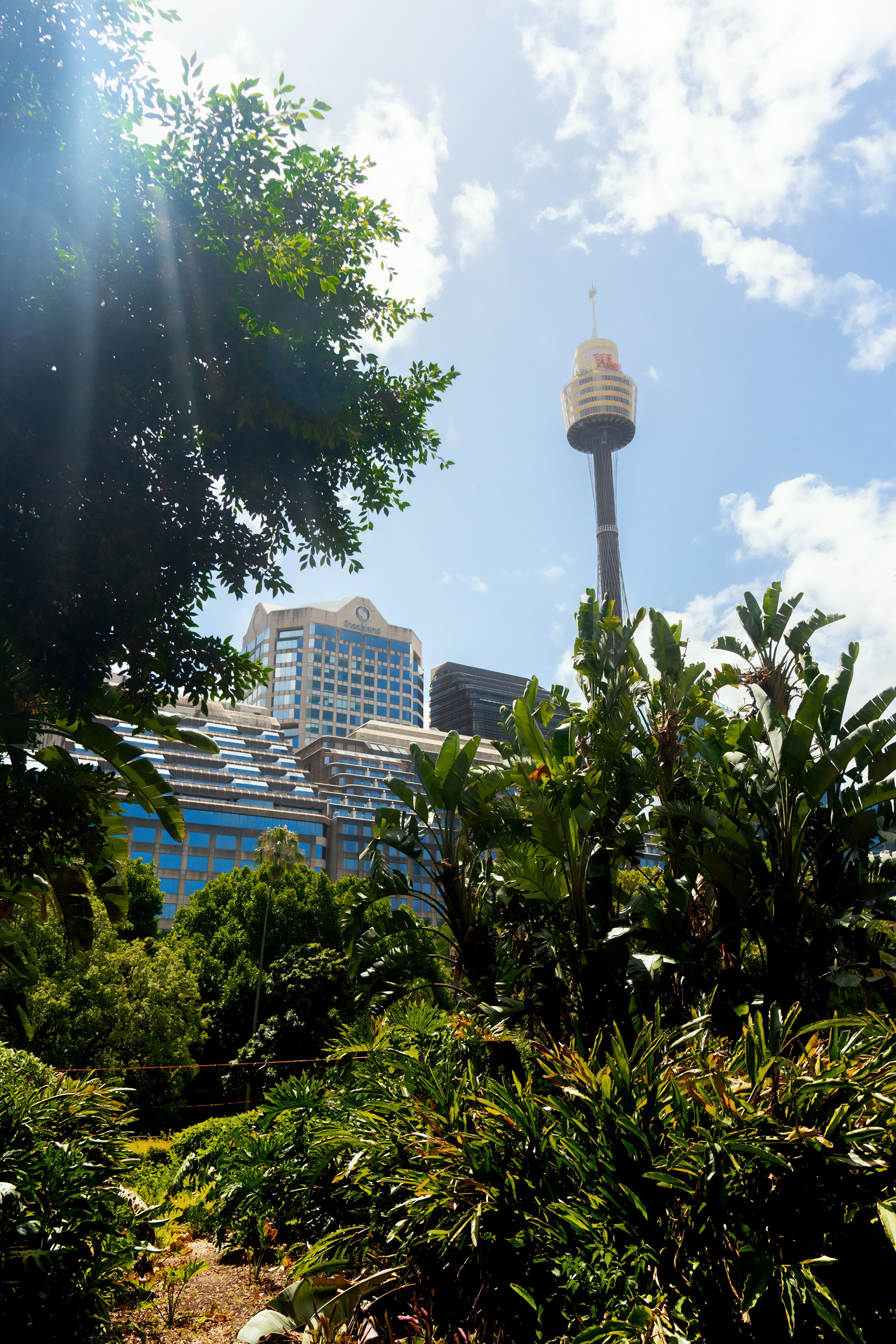 Австралия. Фотограф в Хабаровске. Фотография за 24 часа