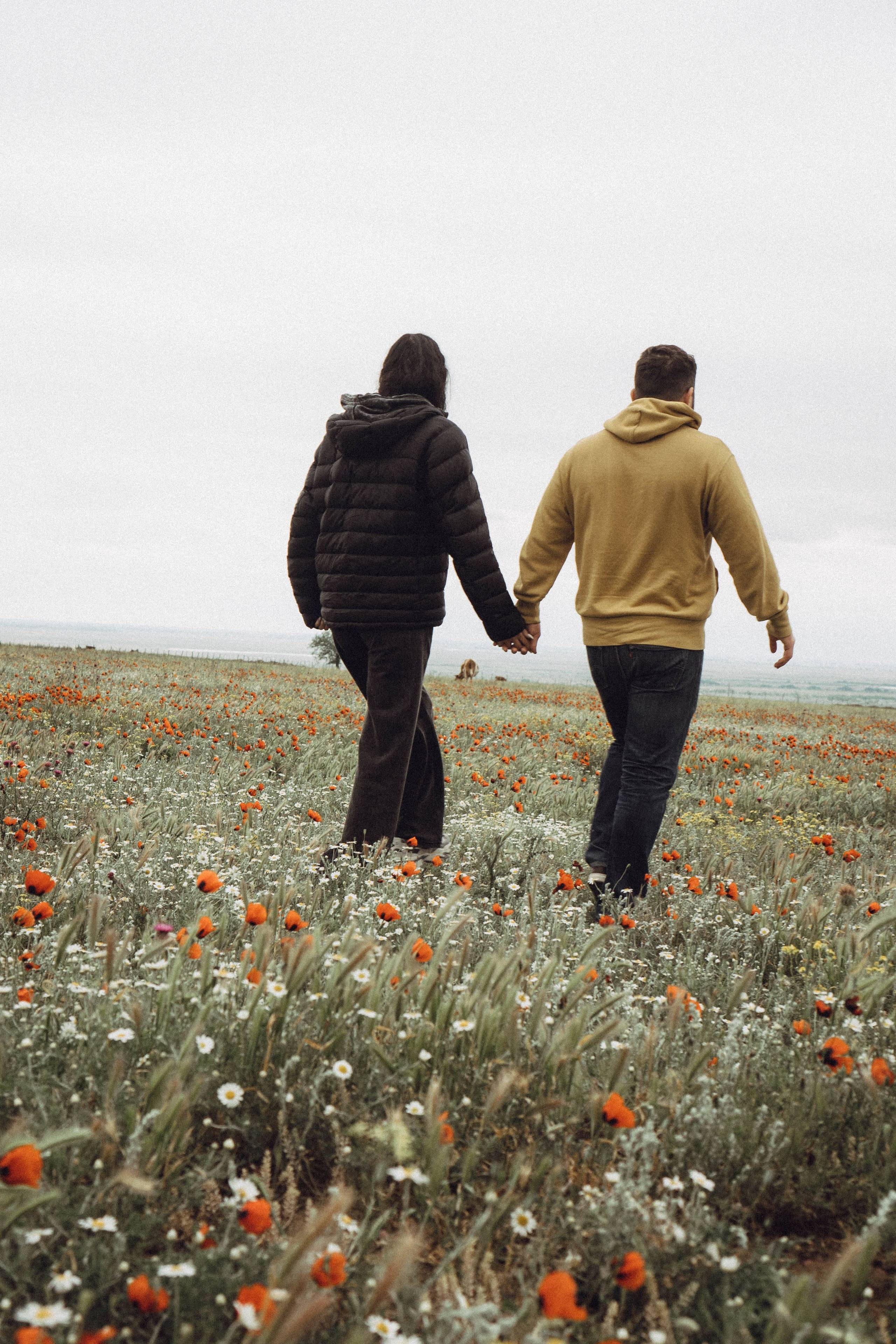 Любовь в маковом поле. Профессиональный фотограф, Санкт-Петербург — Виктория Богомолова