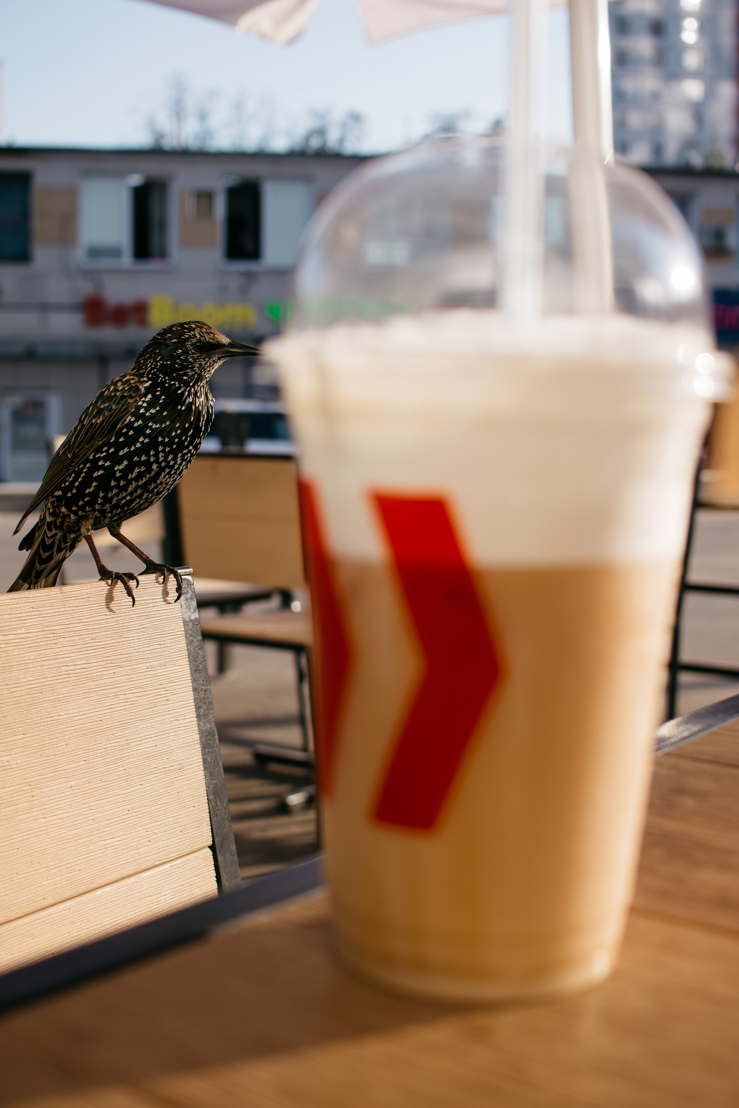 Untitled. Свадебный и Event фотограф в Москве | Андрей Губренко | Gubrenko