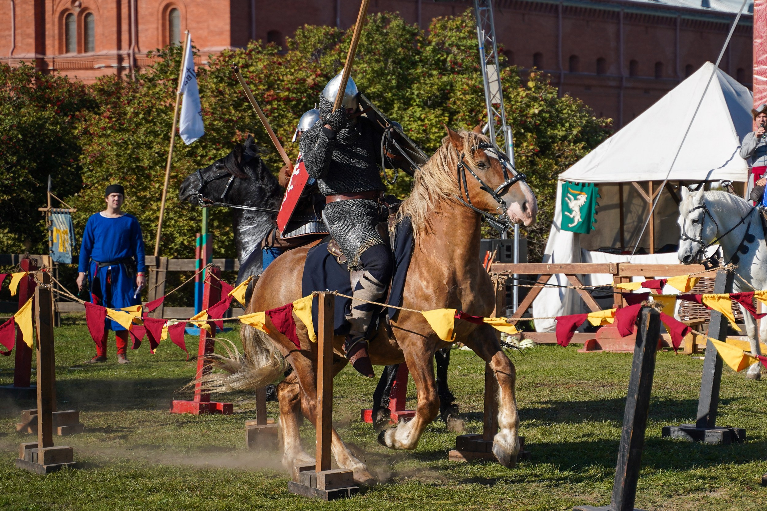 Рыцарский турнир в рамках фестиваля «Битва на Неве» Санкт-Петербург 2024 г. Фотограф-анималист, портретный фотограф в Чебоксарах Мария Садыкова