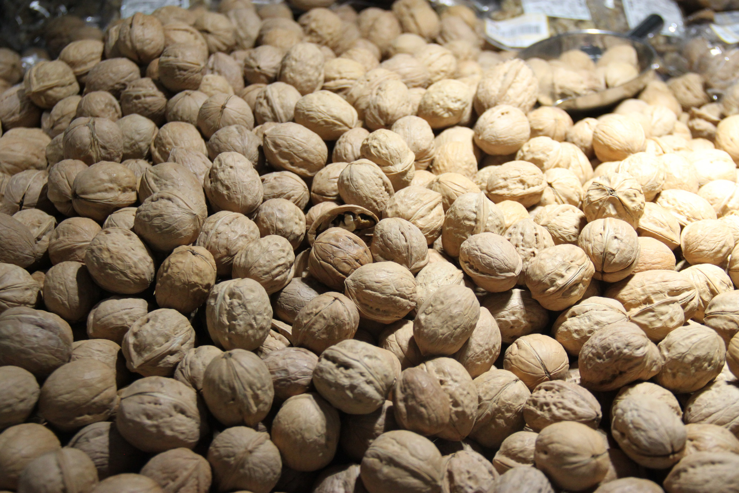 Shanghai, China. Andrey Filippov Photographer