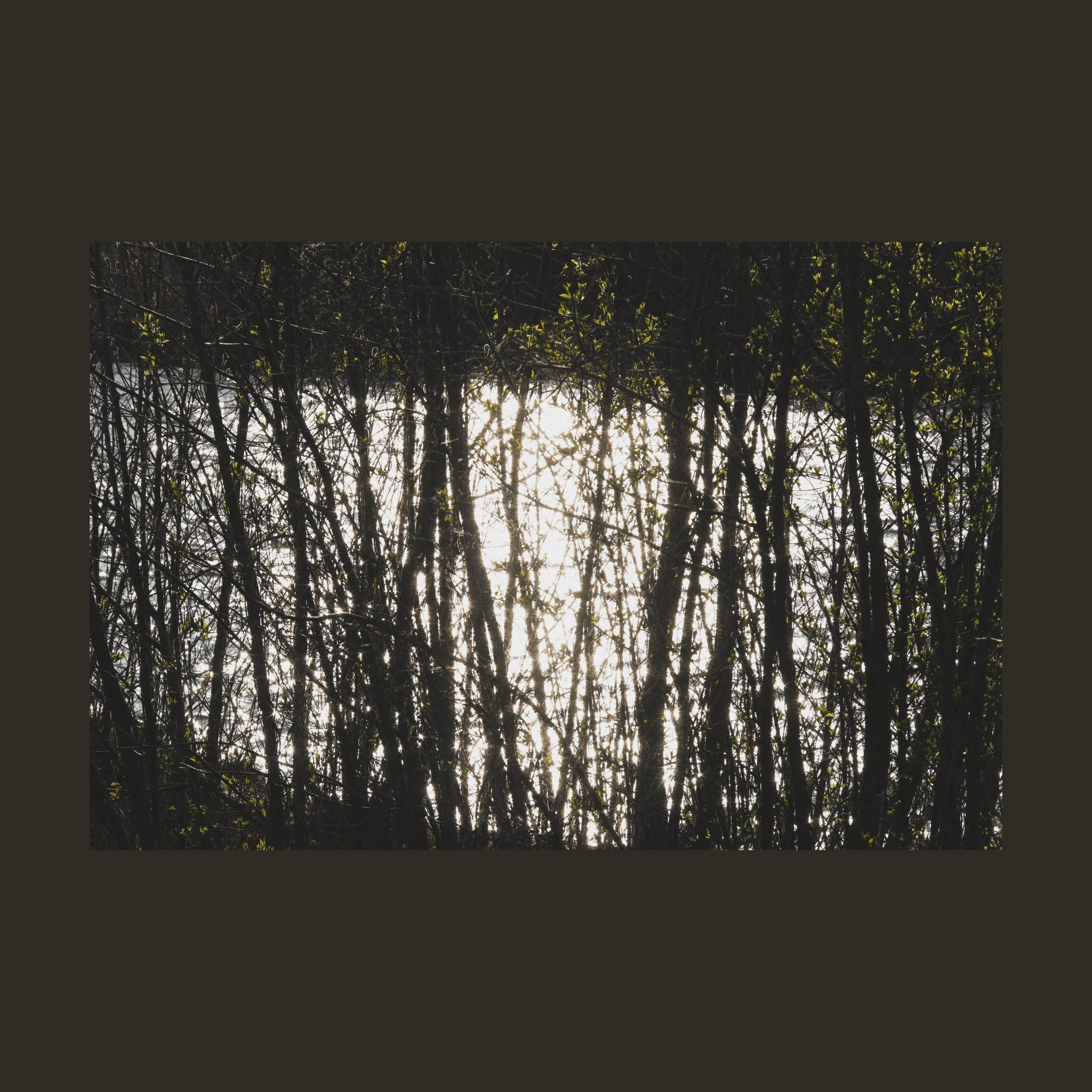 Тишина между берегами (серия). Мистические фотосессии в Санкт-Петербурге от мистика Ильи Шенгелия