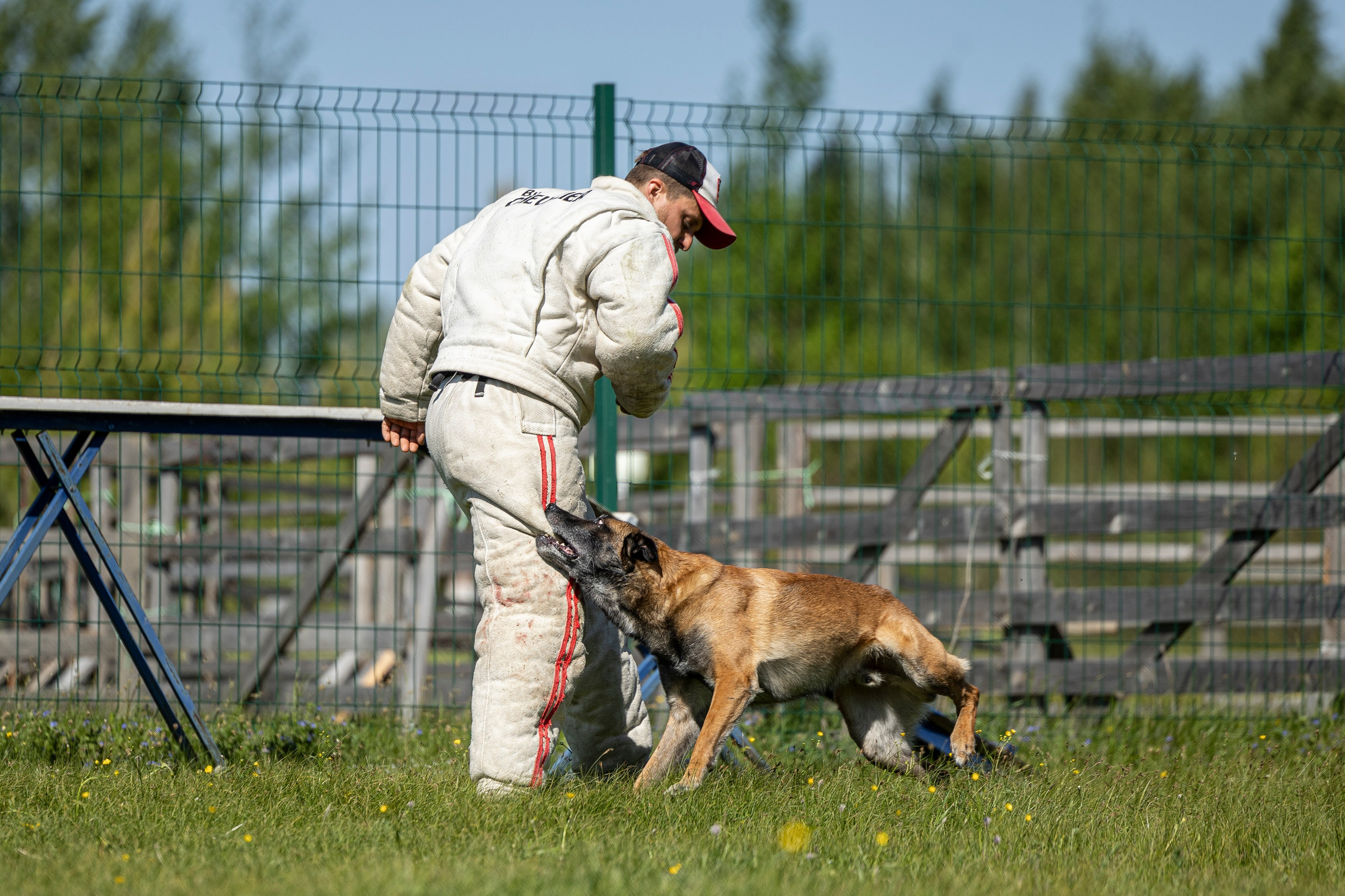 Испытания по мондьорингу в Нижнем Новгороде. Фотограф-анималист Анна Маринич