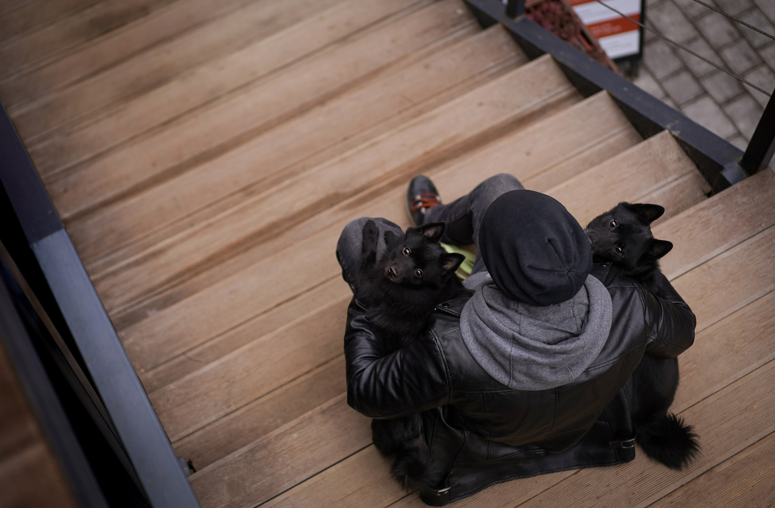 Аня Арчи и Мишель. Фотограф-анималист в Санкт-Петербурге Яна Мартынова