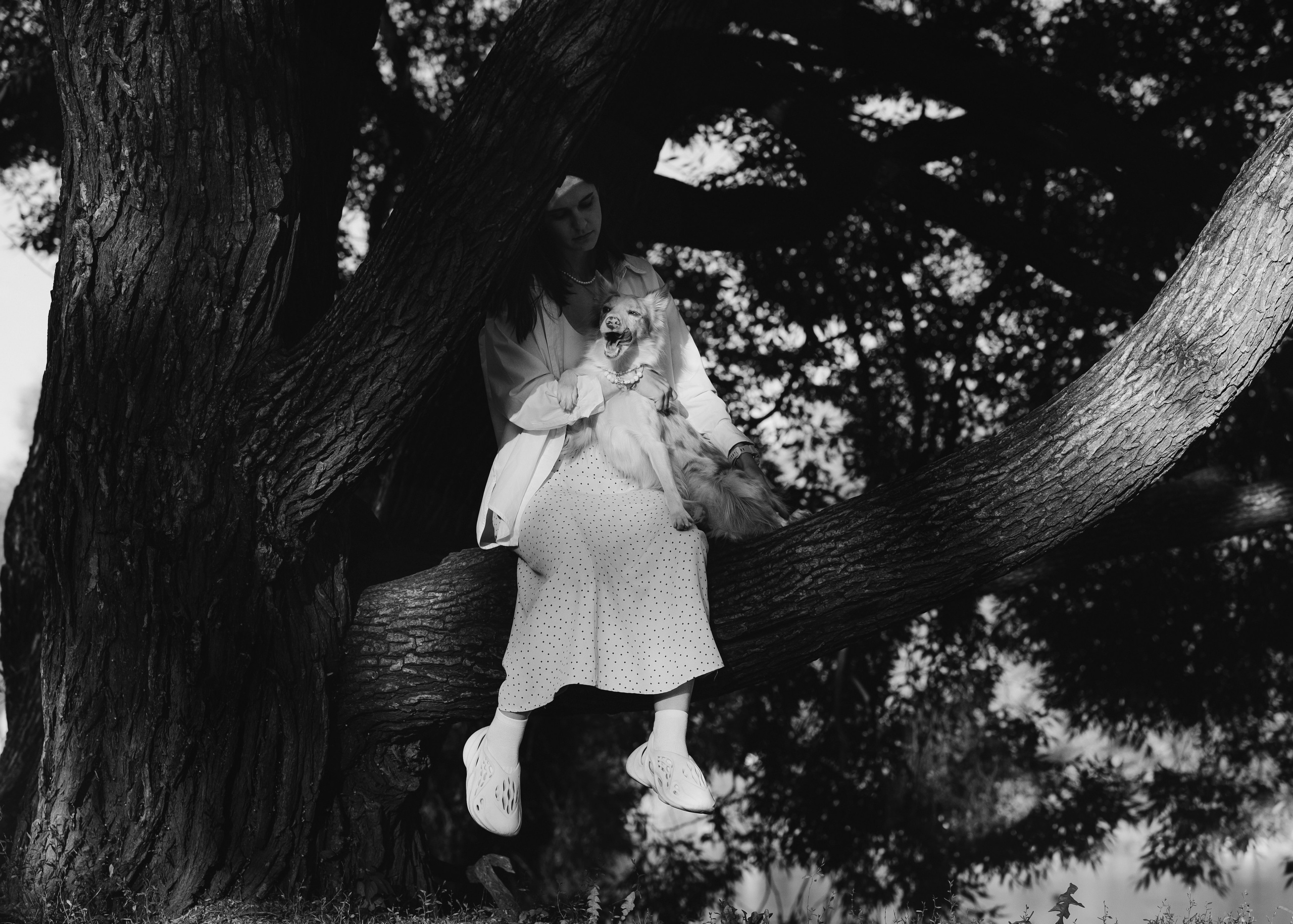 Вэй. Фотограф- анималист Александра Матвеева