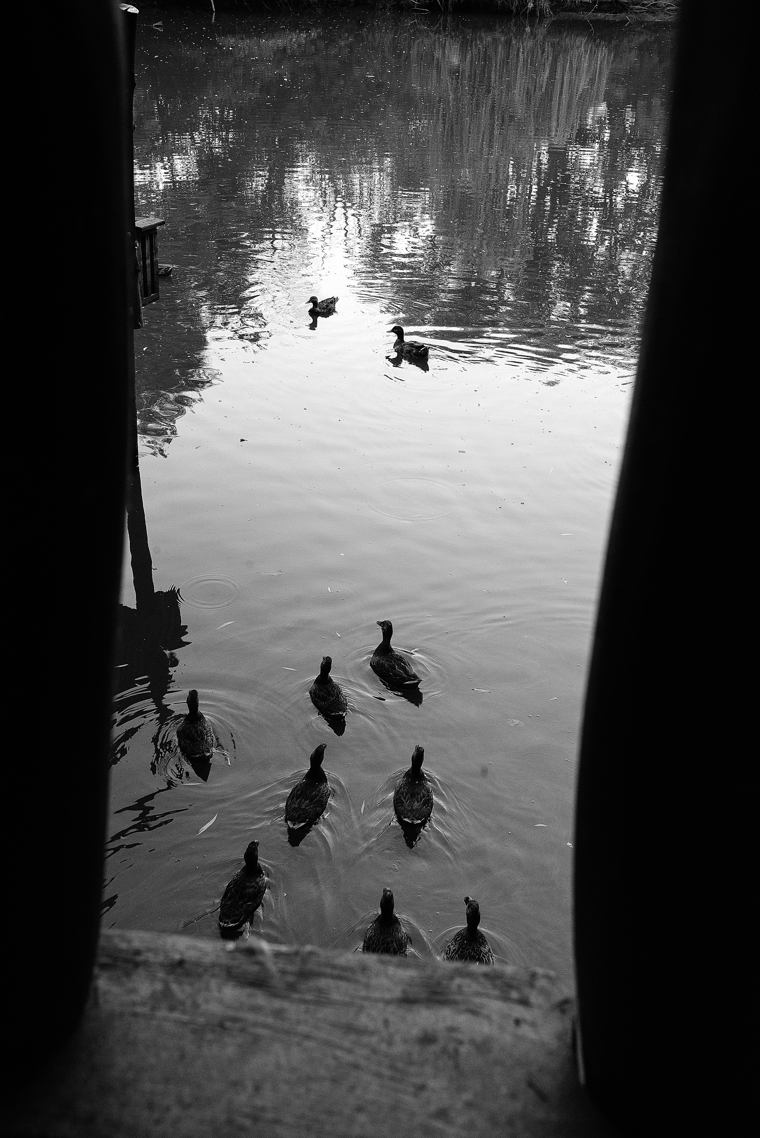 Вячеслав и Алина. Свадебный и семейный фотограф в Ростове-на-Дону Алина Астахова