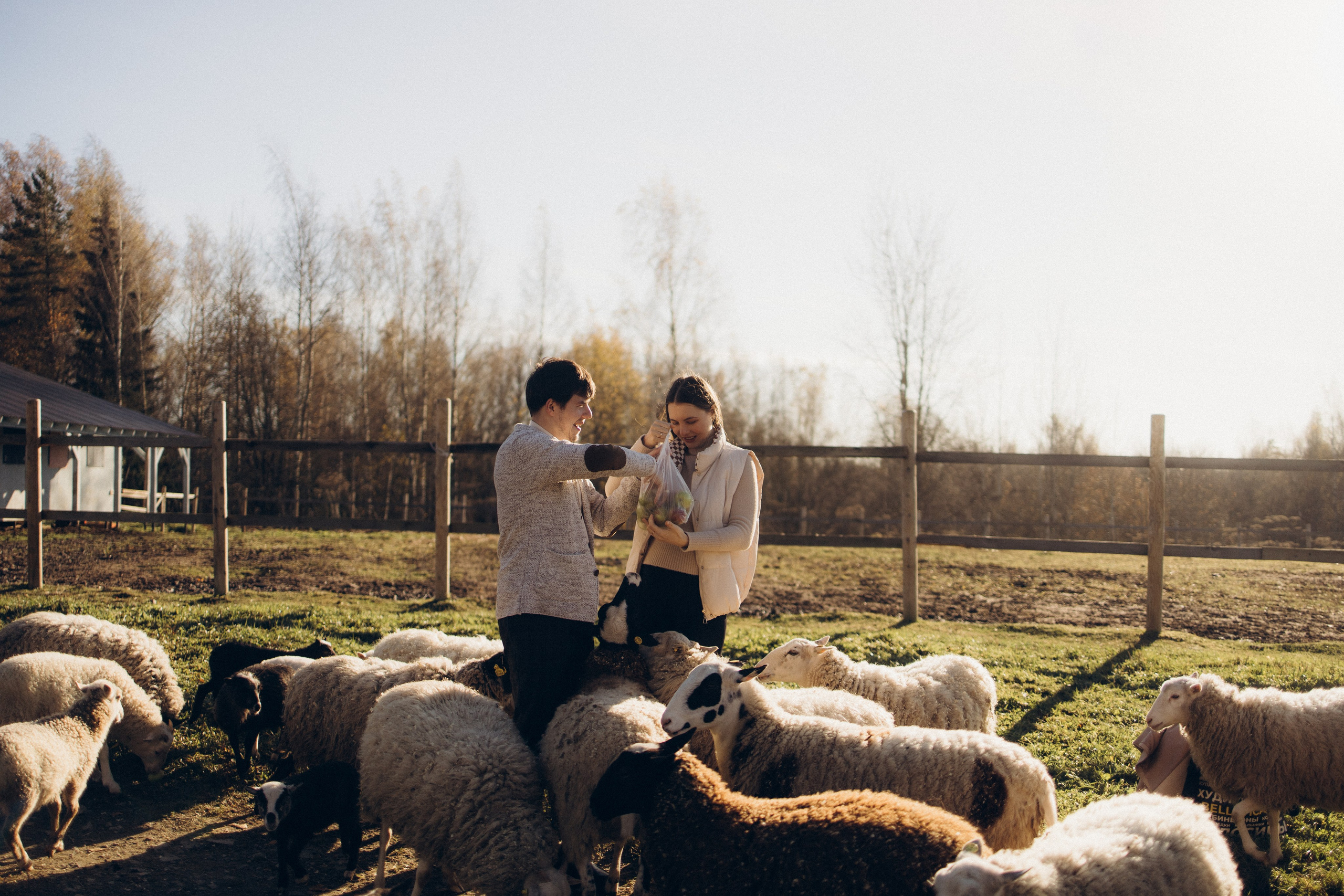 Настя & Аристарх. Ирина Владимирова | Фотограф Санкт-Петербург