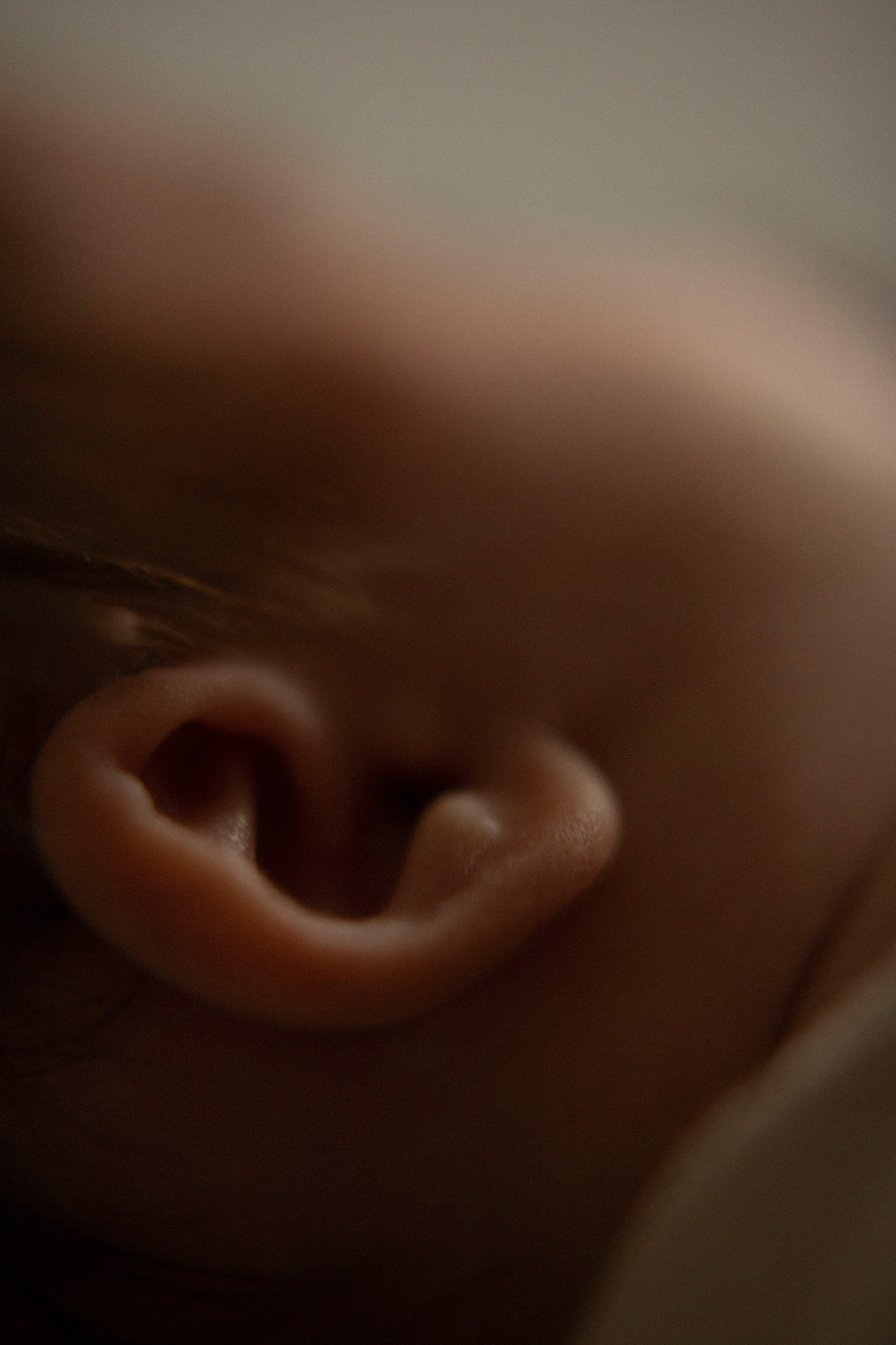 Новорожденные. Семейный фотограф Новосибирск