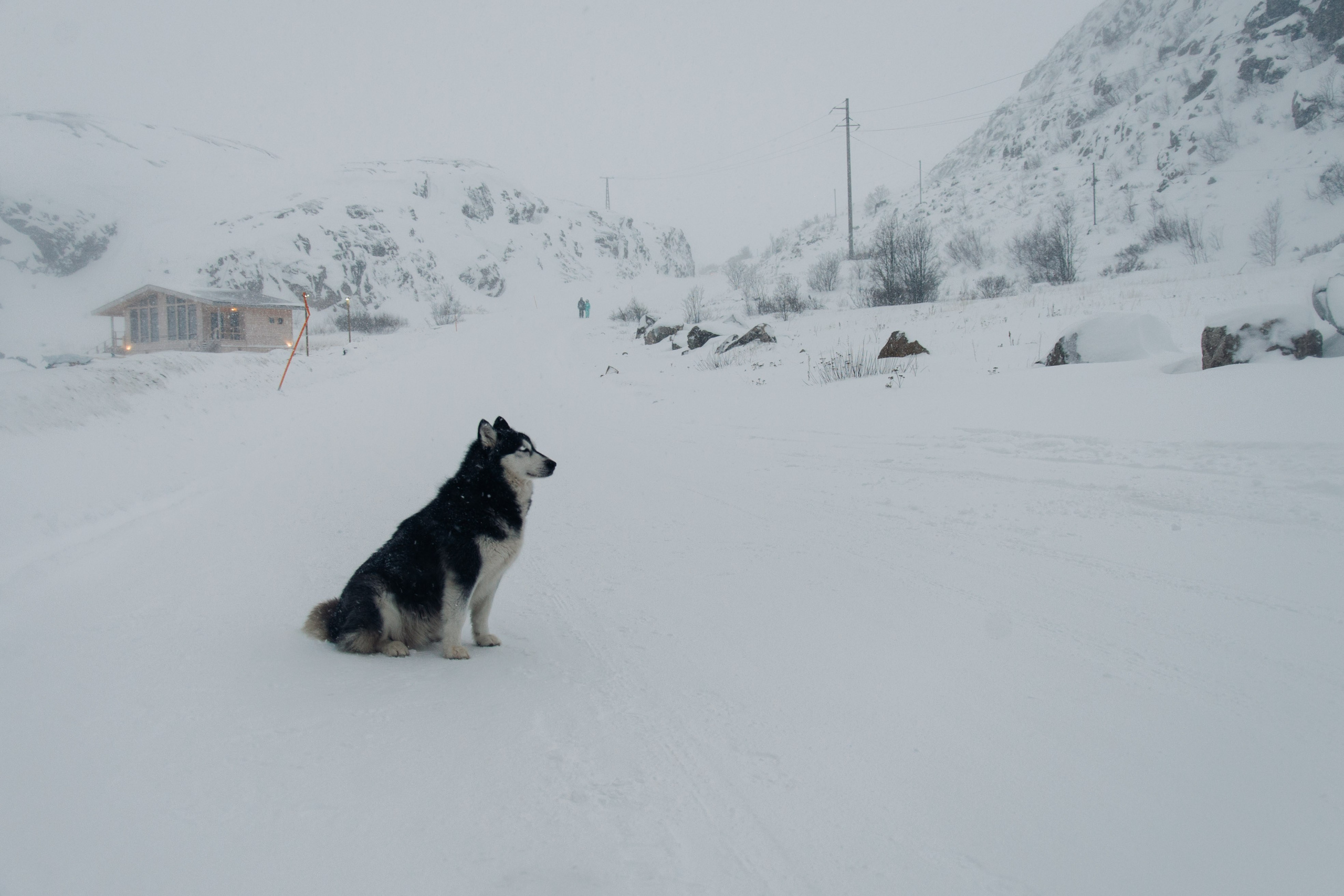 Мурманск, Териберка. Главная
