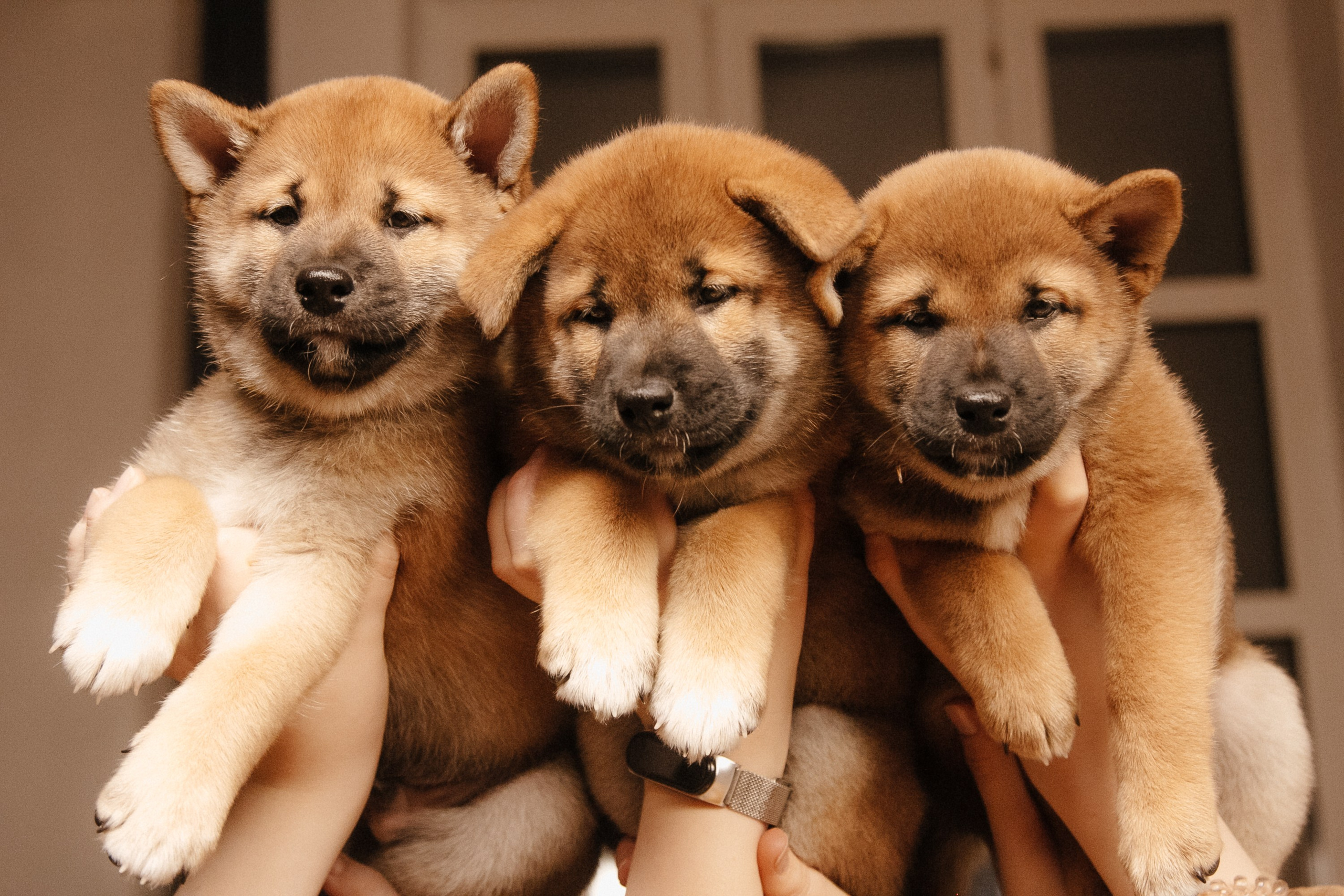 LOVE. Семейный фотограф Казань Никита Федин