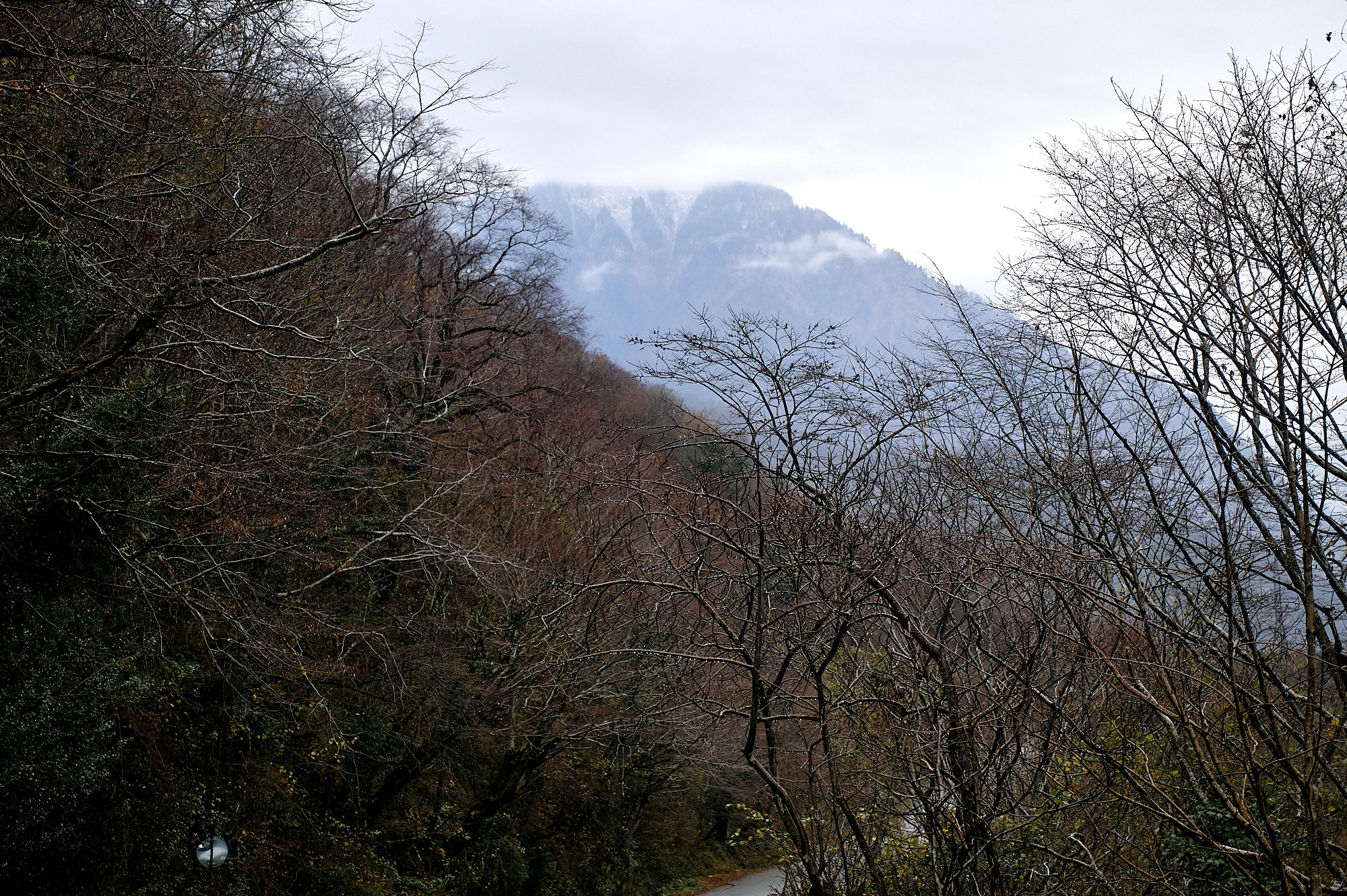 Озеро Рица, Абхазия. Декабрь 2024. Фотографии отовсюду и обо всем