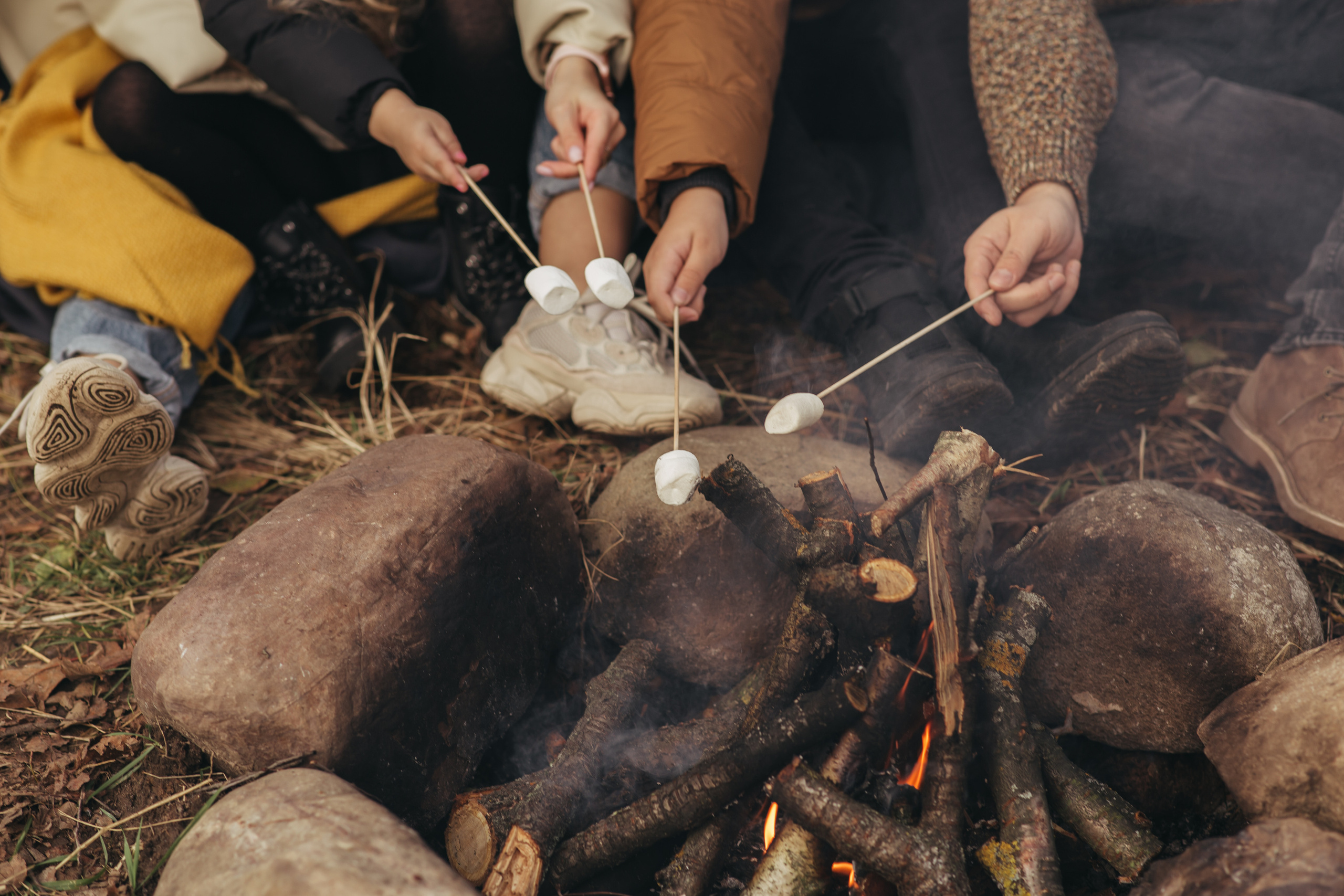 люди жарят маршмелоу на костре