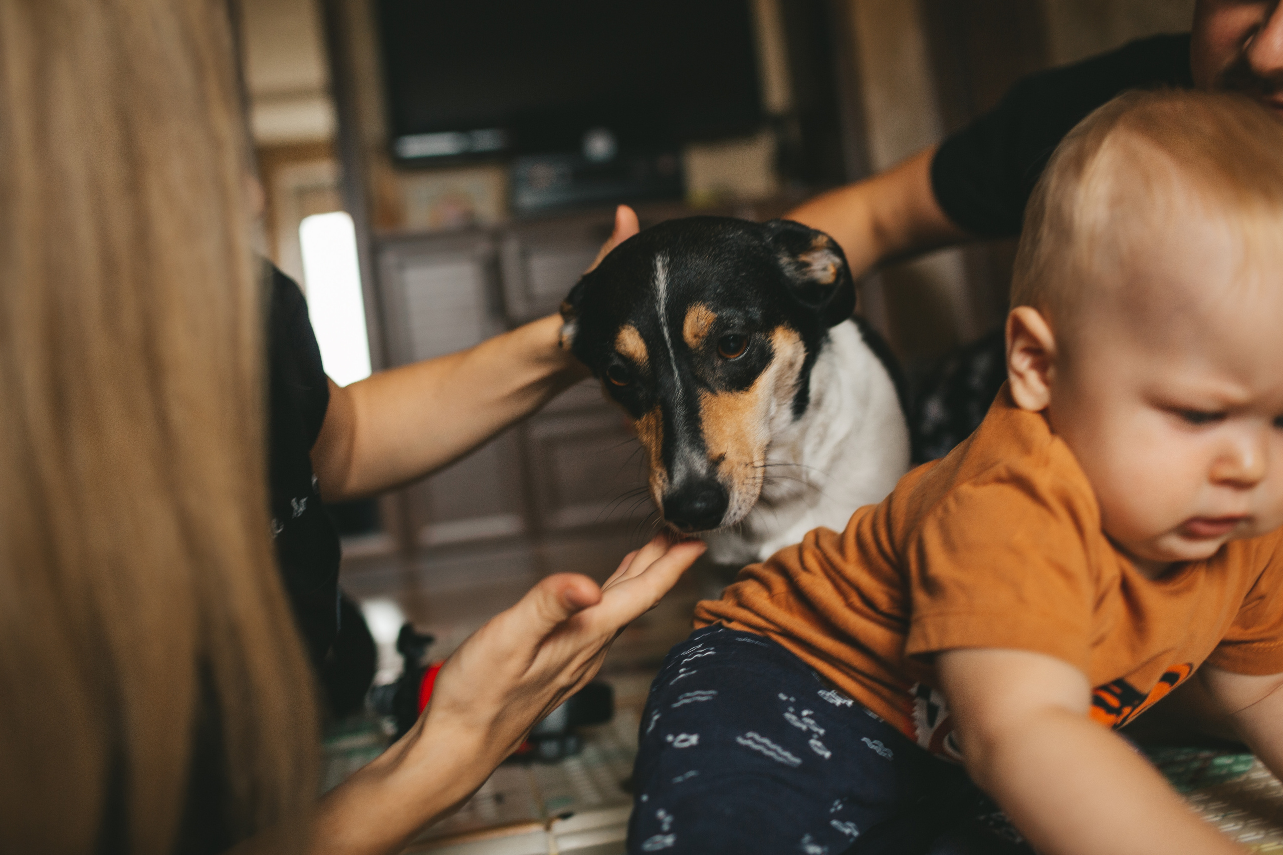 Фотосессия дома. Нина и ее семья. Семейный и детский фотограф и видеограф в Москве, Дрокина Наталья