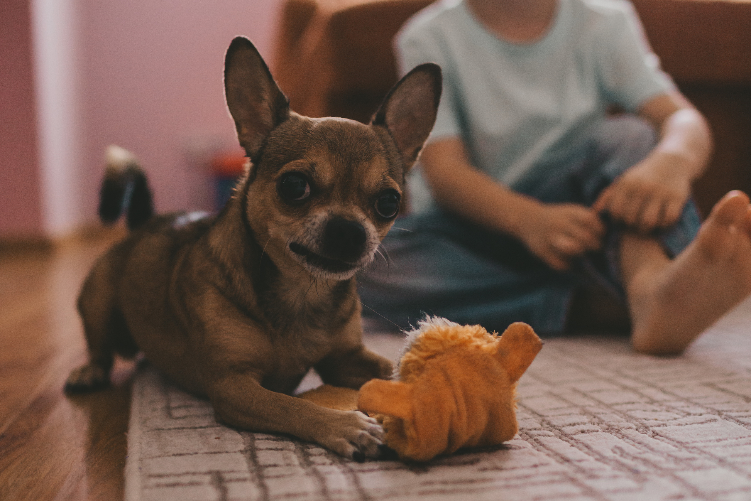 Фотосессия дома. Анна и ее семья. Семейный и детский фотограф и видеограф в Москве, Дрокина Наталья