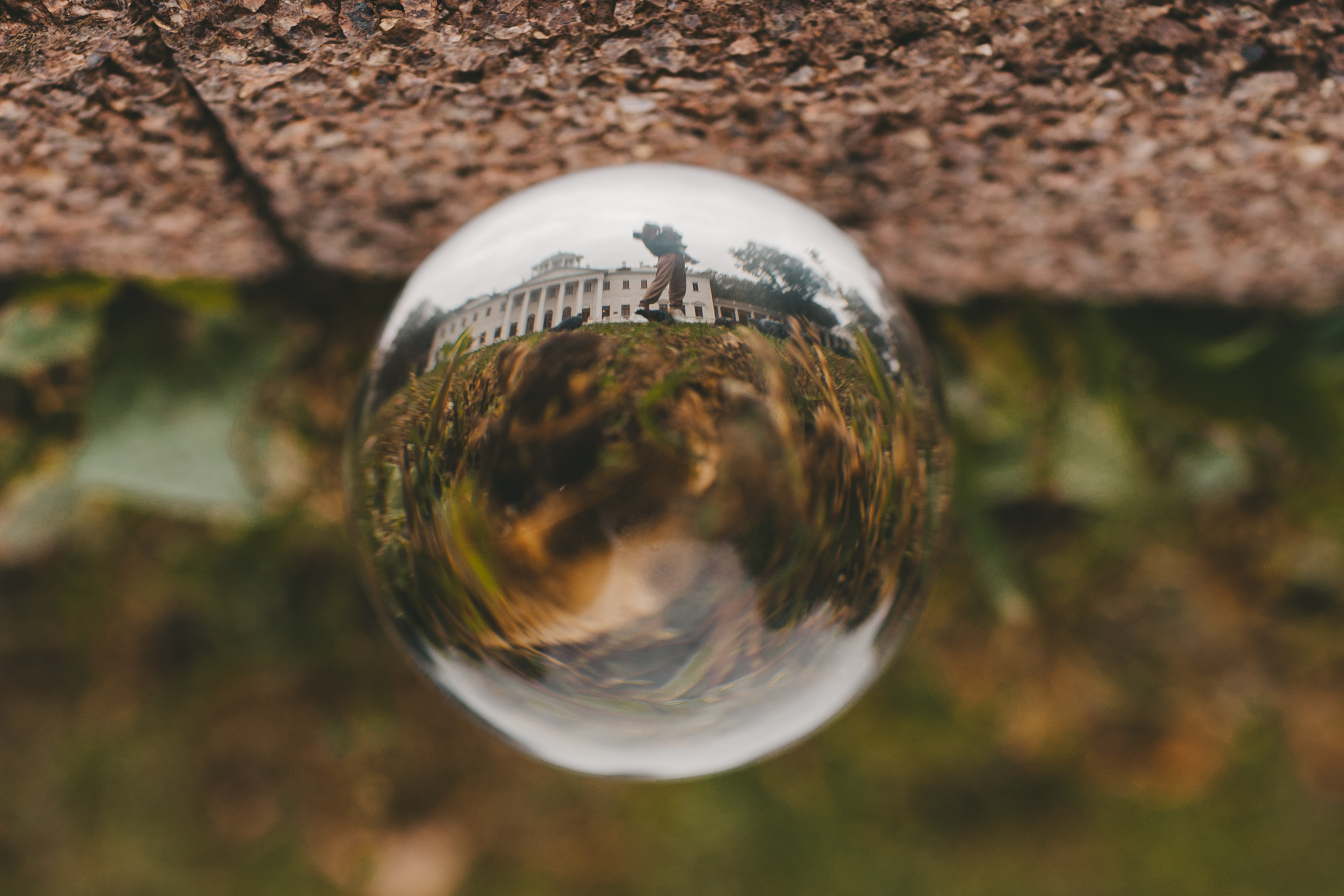 Алина и Тёма. Осенняя прогулка в Остафьево. Семейный и детский фотограф и видеограф в Москве, Дрокина Наталья