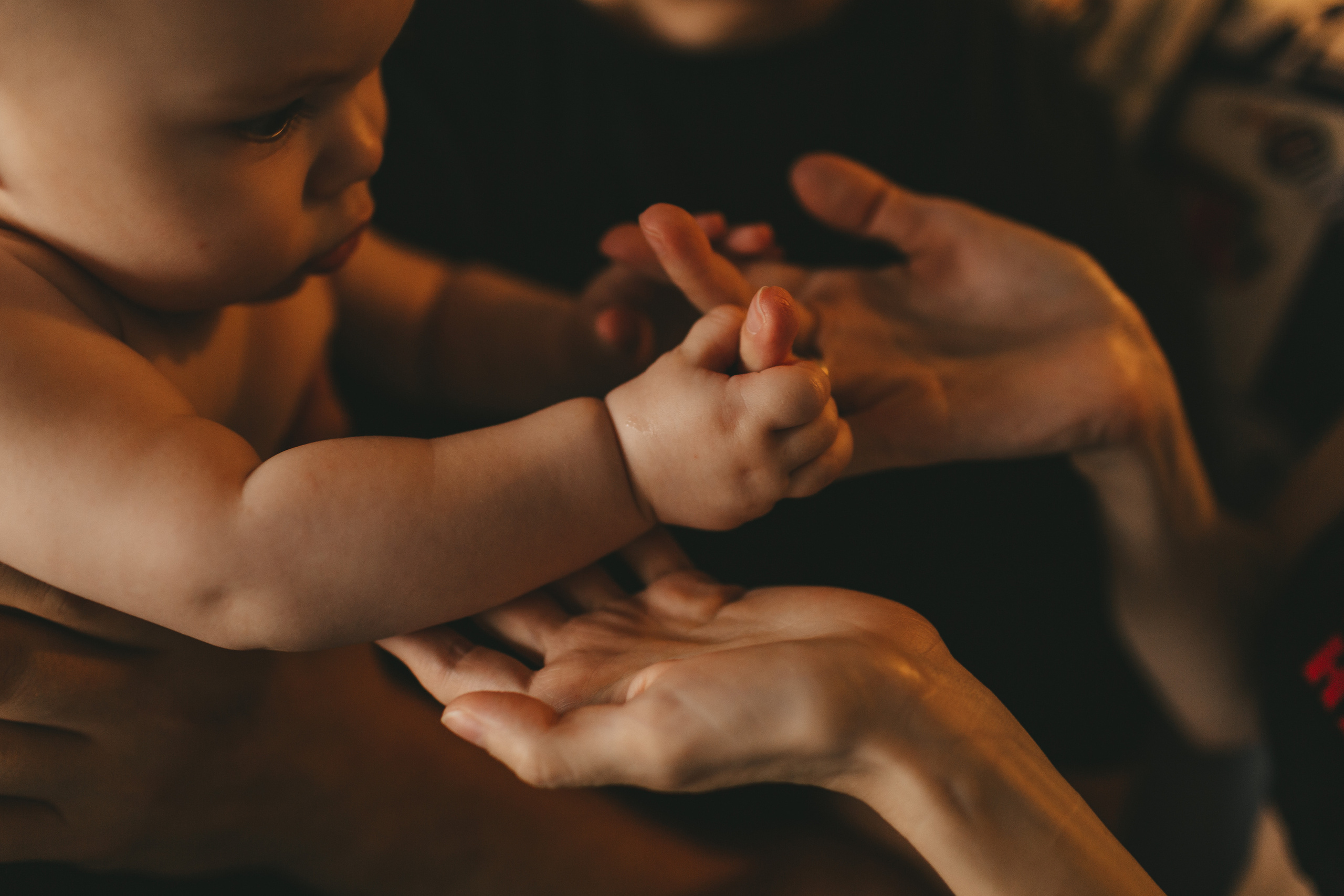Фотосессия у Вас дома. Семейный и детский фотограф и видеограф в Москве, Дрокина Наталья