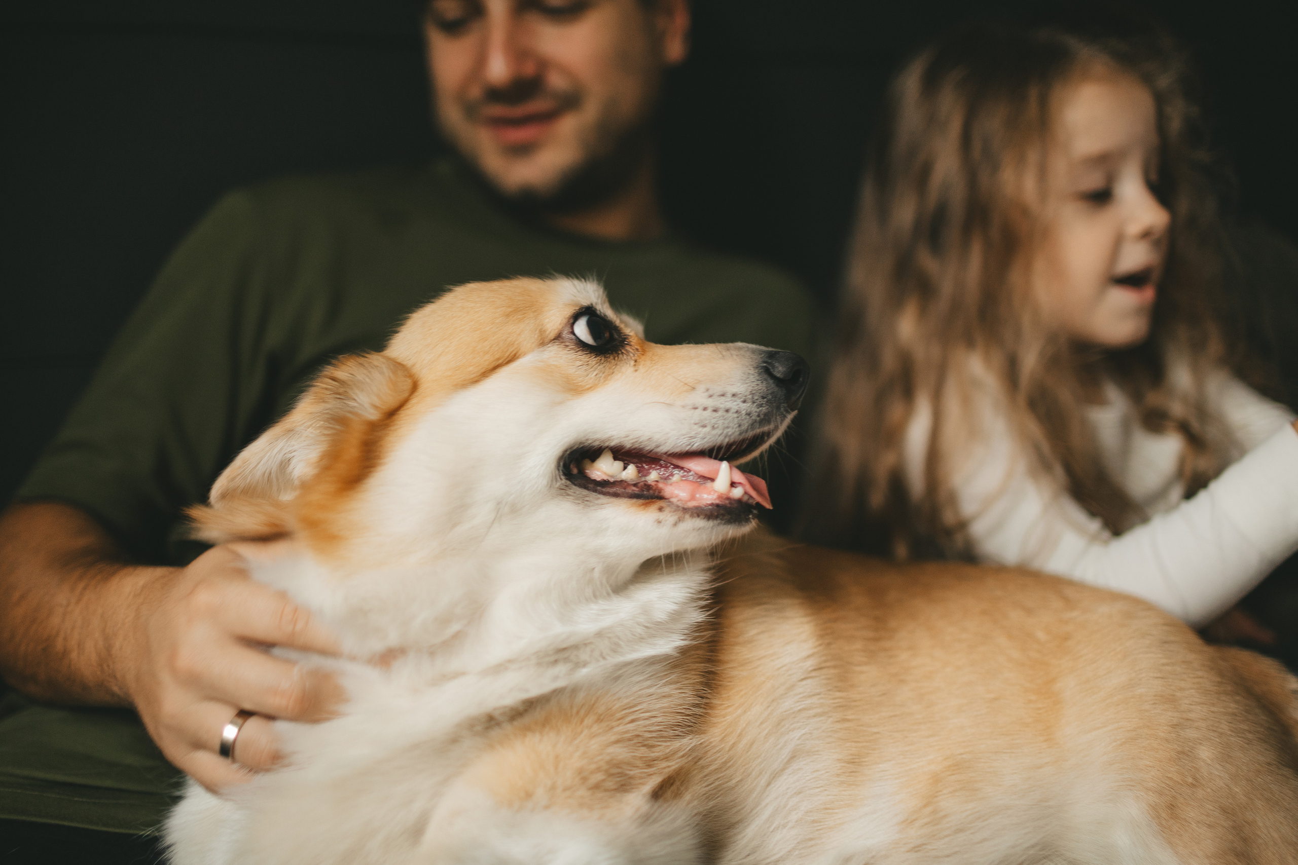Фотосессия дома. Борзовы. Семейный и детский фотограф и видеограф в Москве, Дрокина Наталья