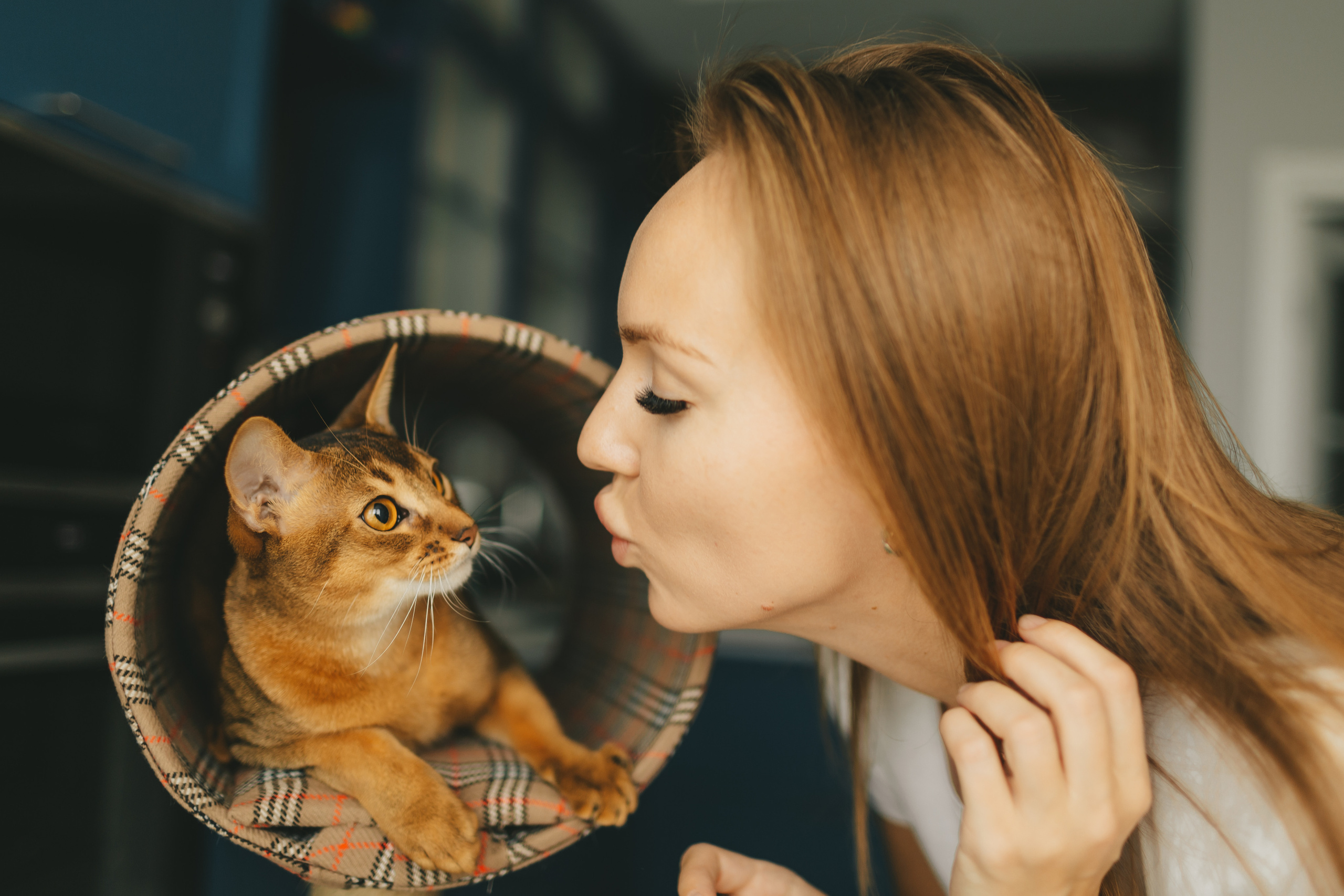 Семейная фотосессия с котиком. Семейный и детский фотограф и видеограф в Москве, Дрокина Наталья