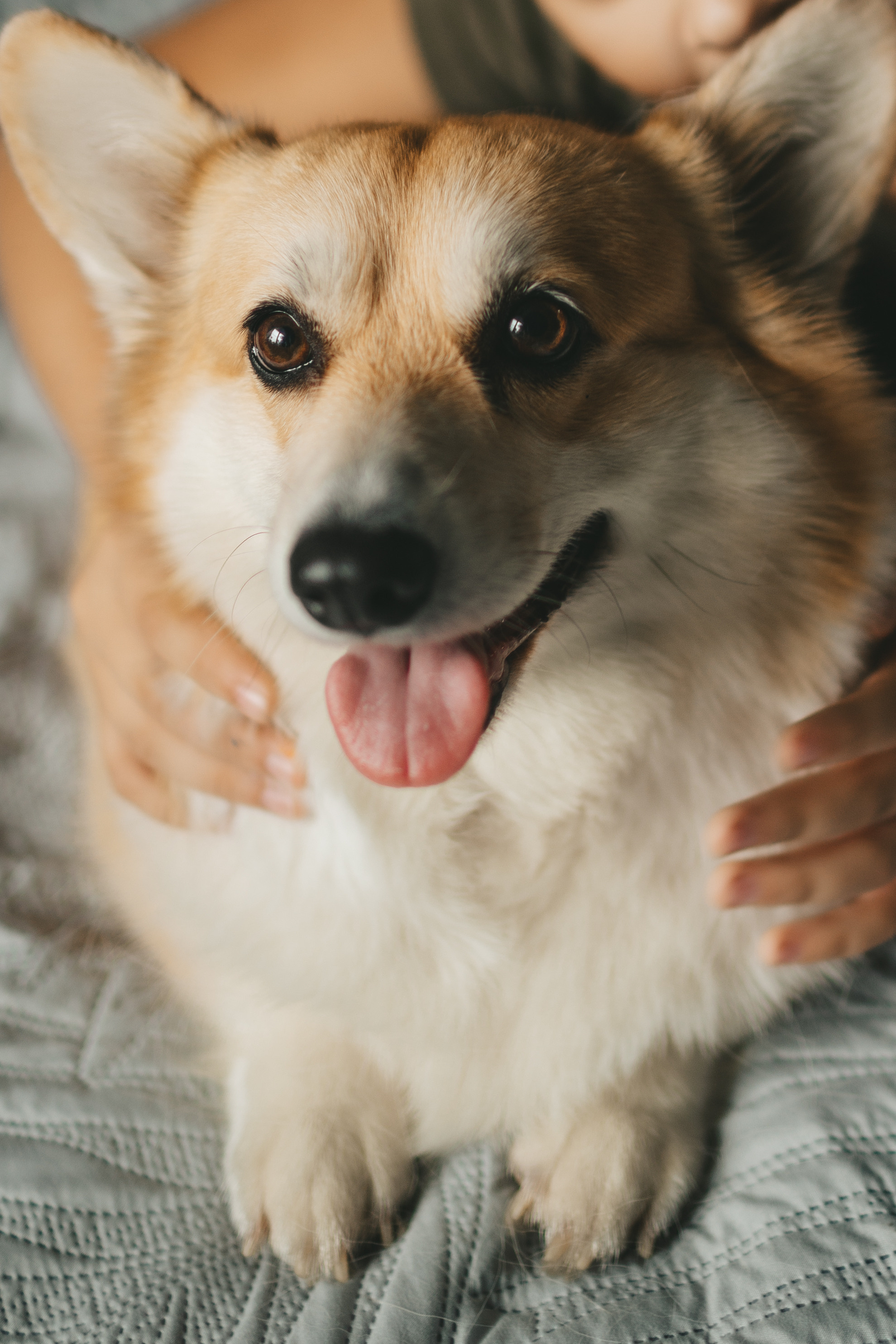 Фотосессия дома. Борзовы. Семейный и детский фотограф и видеограф в Москве, Дрокина Наталья