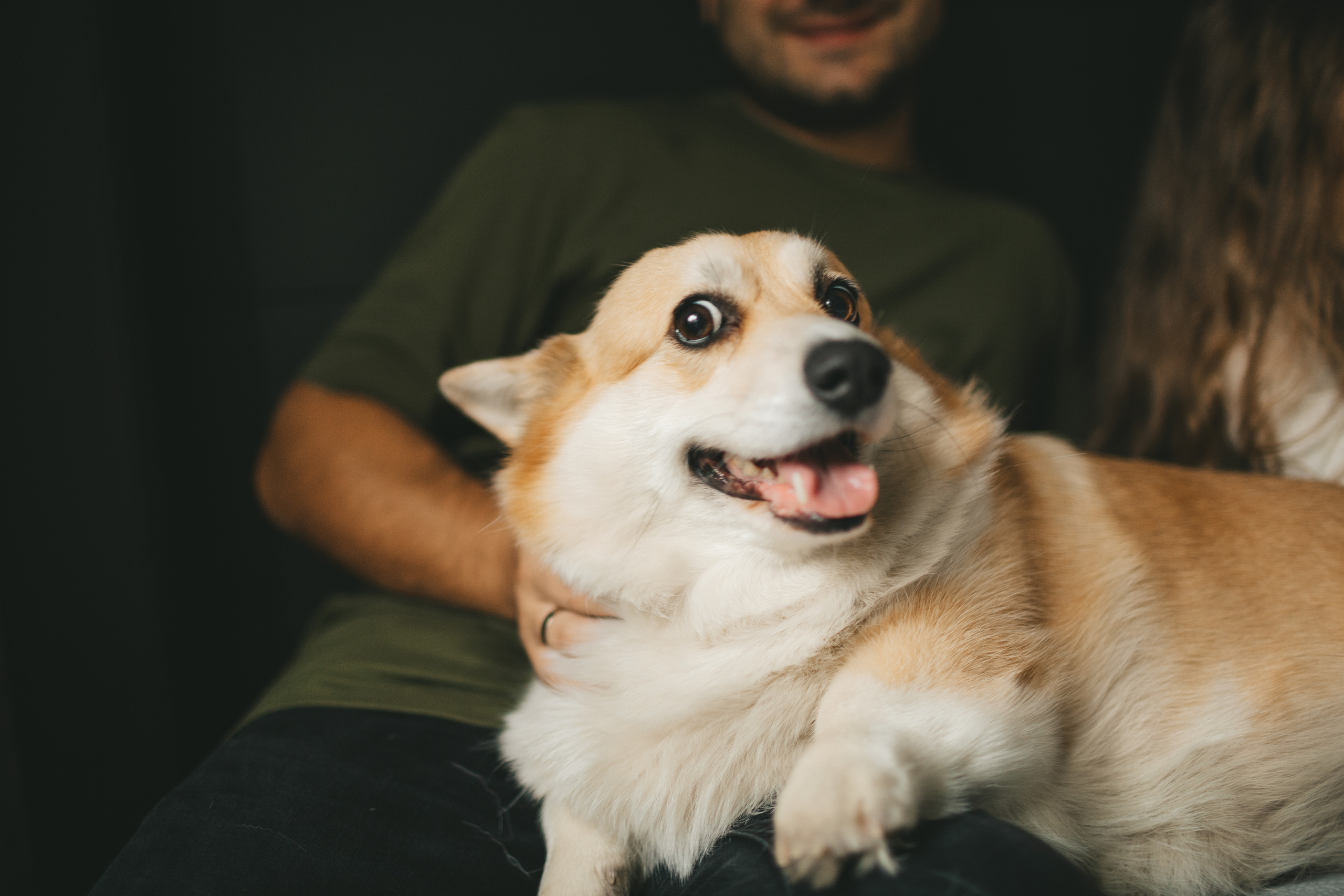 Фотосессия дома. Борзовы. Семейный и детский фотограф и видеограф в Москве, Дрокина Наталья