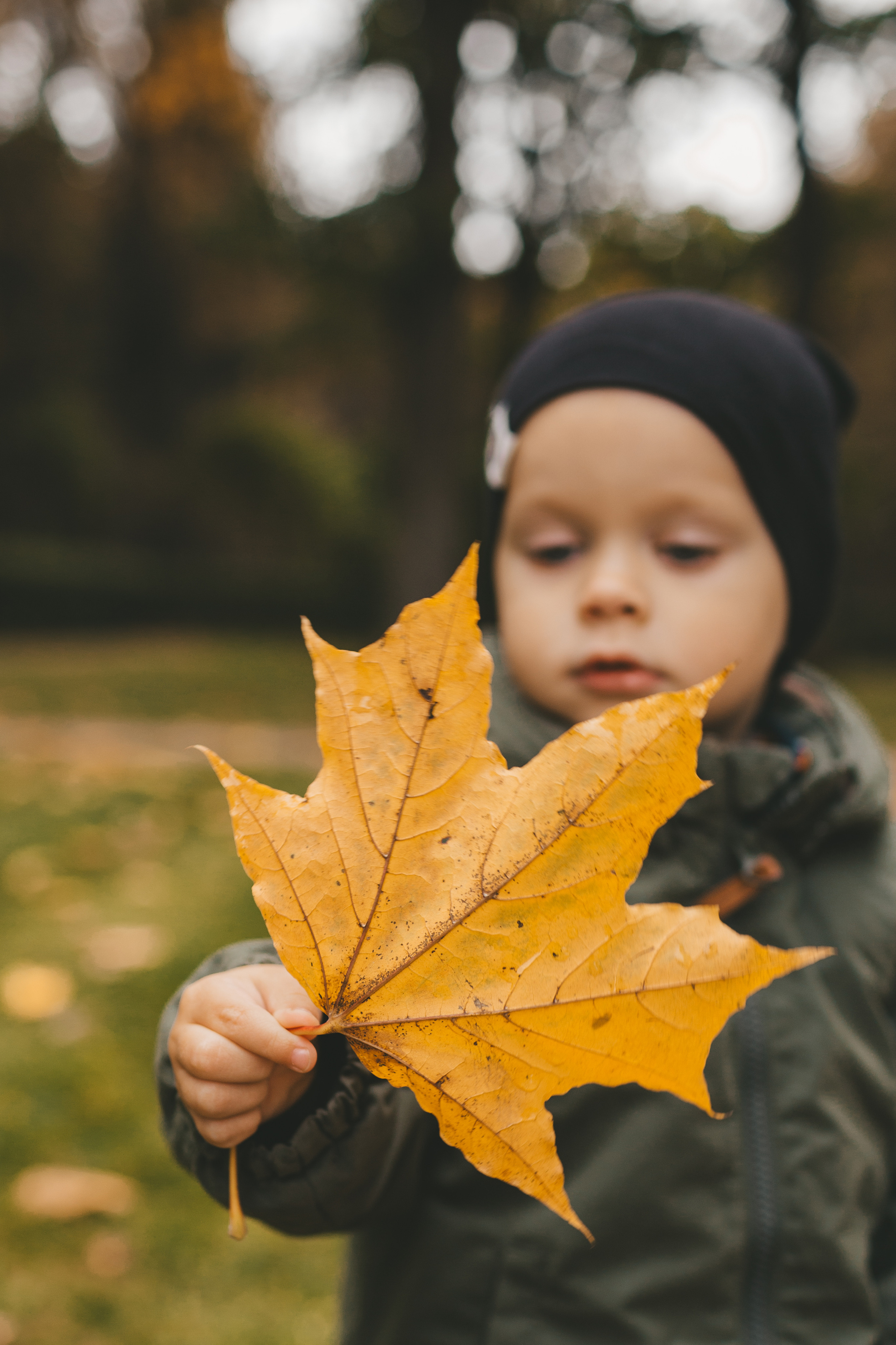 Алина и Тёма. Осенняя прогулка в Остафьево. Семейный и детский фотограф и видеограф в Москве, Дрокина Наталья