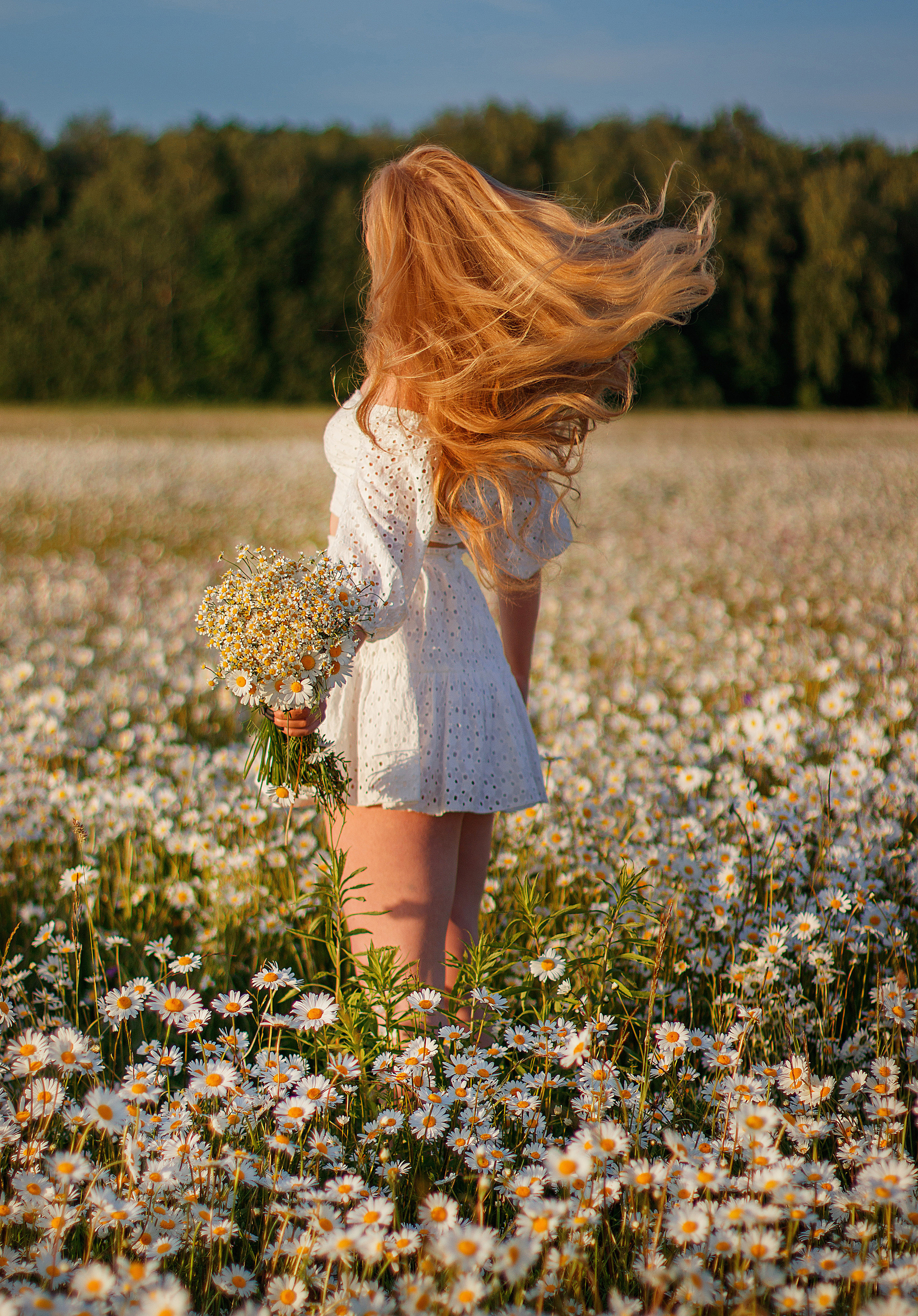 Ромашковое поле. Женский и семейный фотограф в Москве и Московской области Наталья Минт