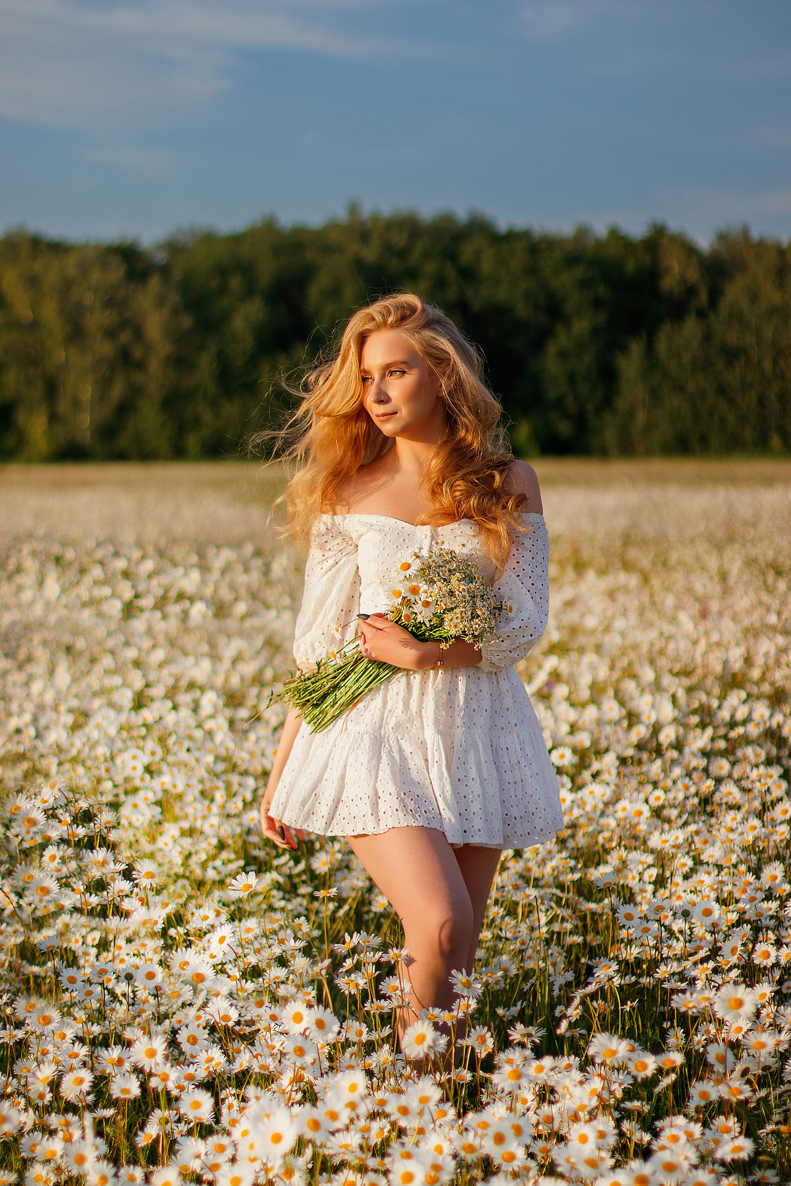 Ромашковое поле. Женский и семейный фотограф в Москве и Московской области Наталья Минт