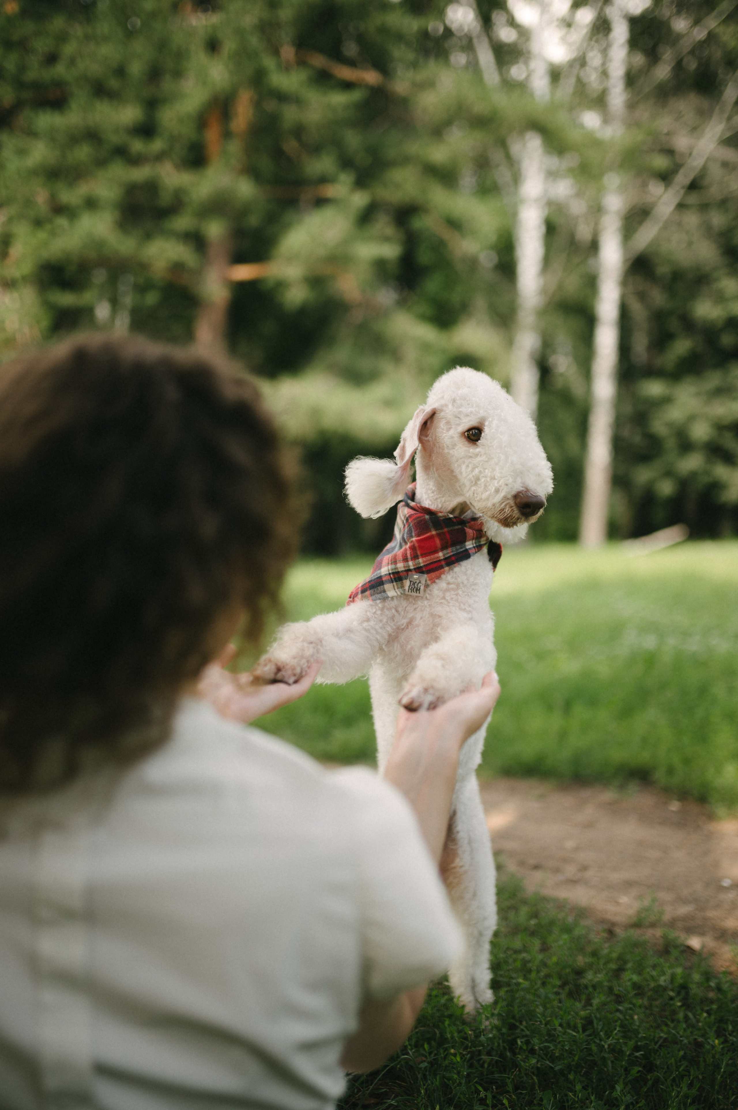 Лиза и Каспер. Фотограф анималист в Москве Ольга Агушева