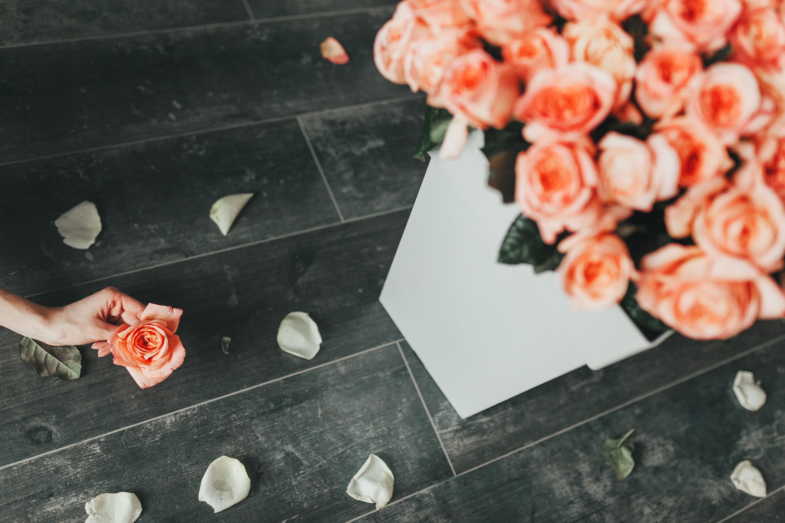 Контент для цветочной студии. Семейный и свадебный фотограф Брянск, Москва Ольга Ли