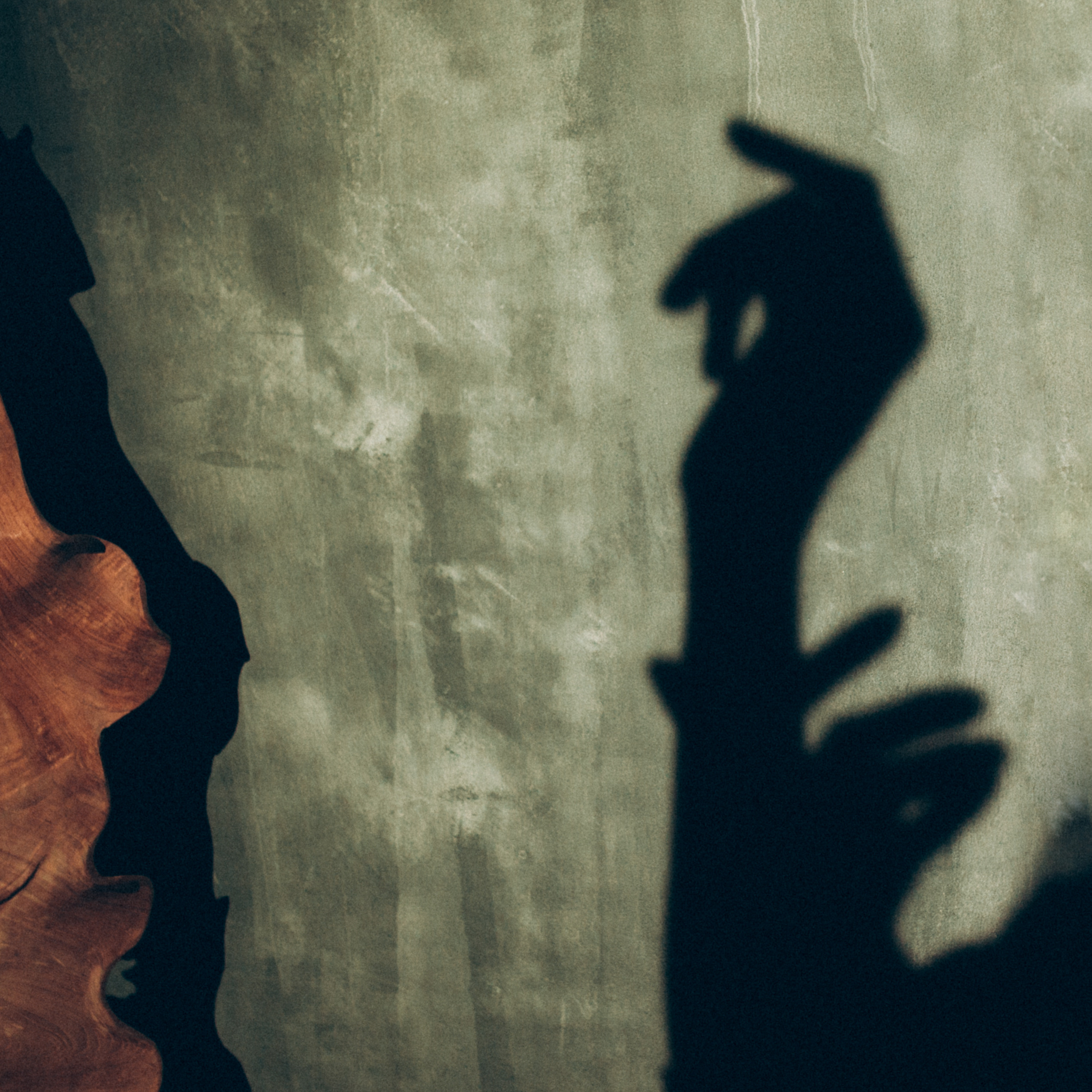 Контент для smm-специалиста. Семейный и свадебный фотограф Брянск, Москва Ольга Ли