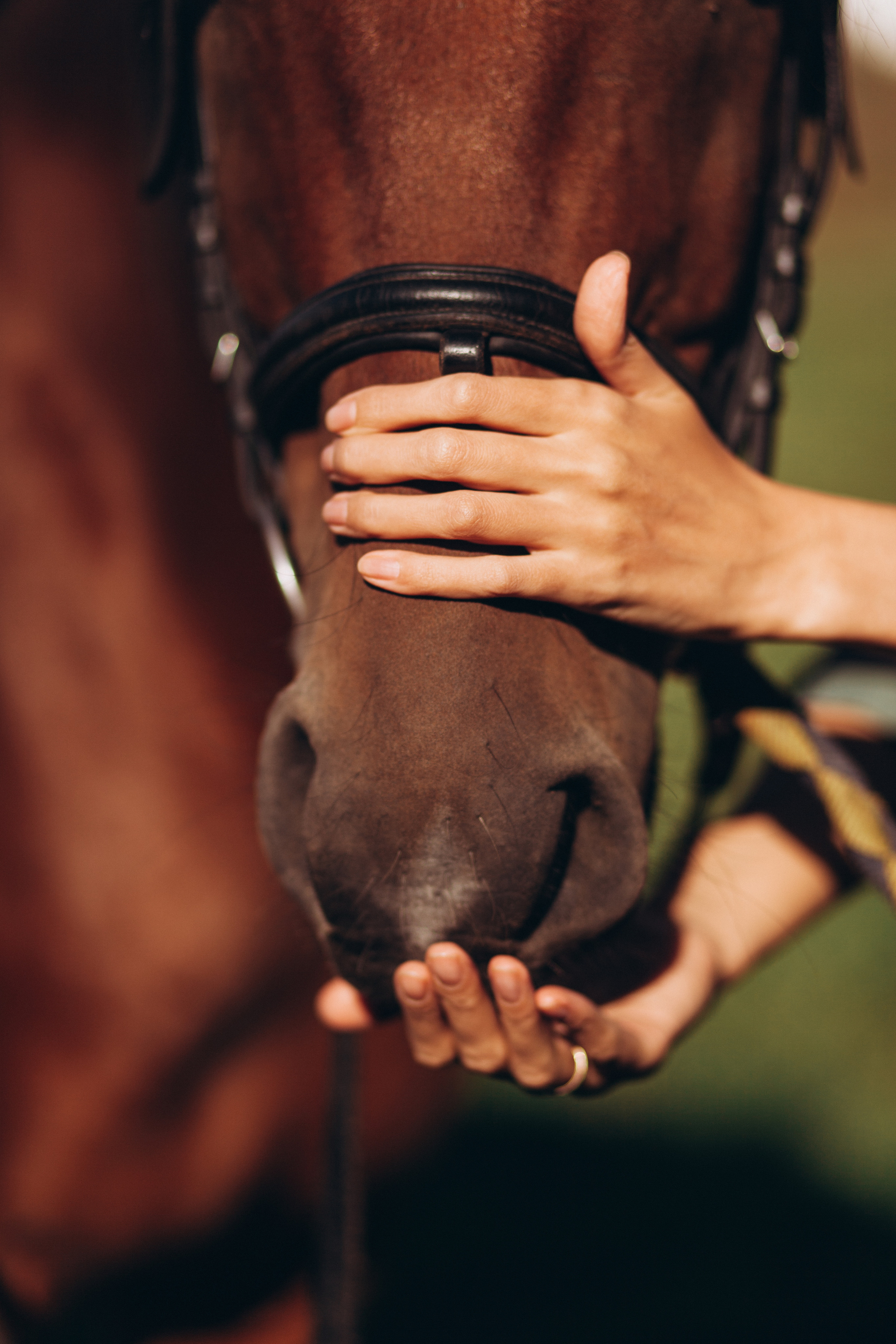 Контент для smm-специалиста. Семейный и свадебный фотограф Брянск, Москва Ольга Ли
