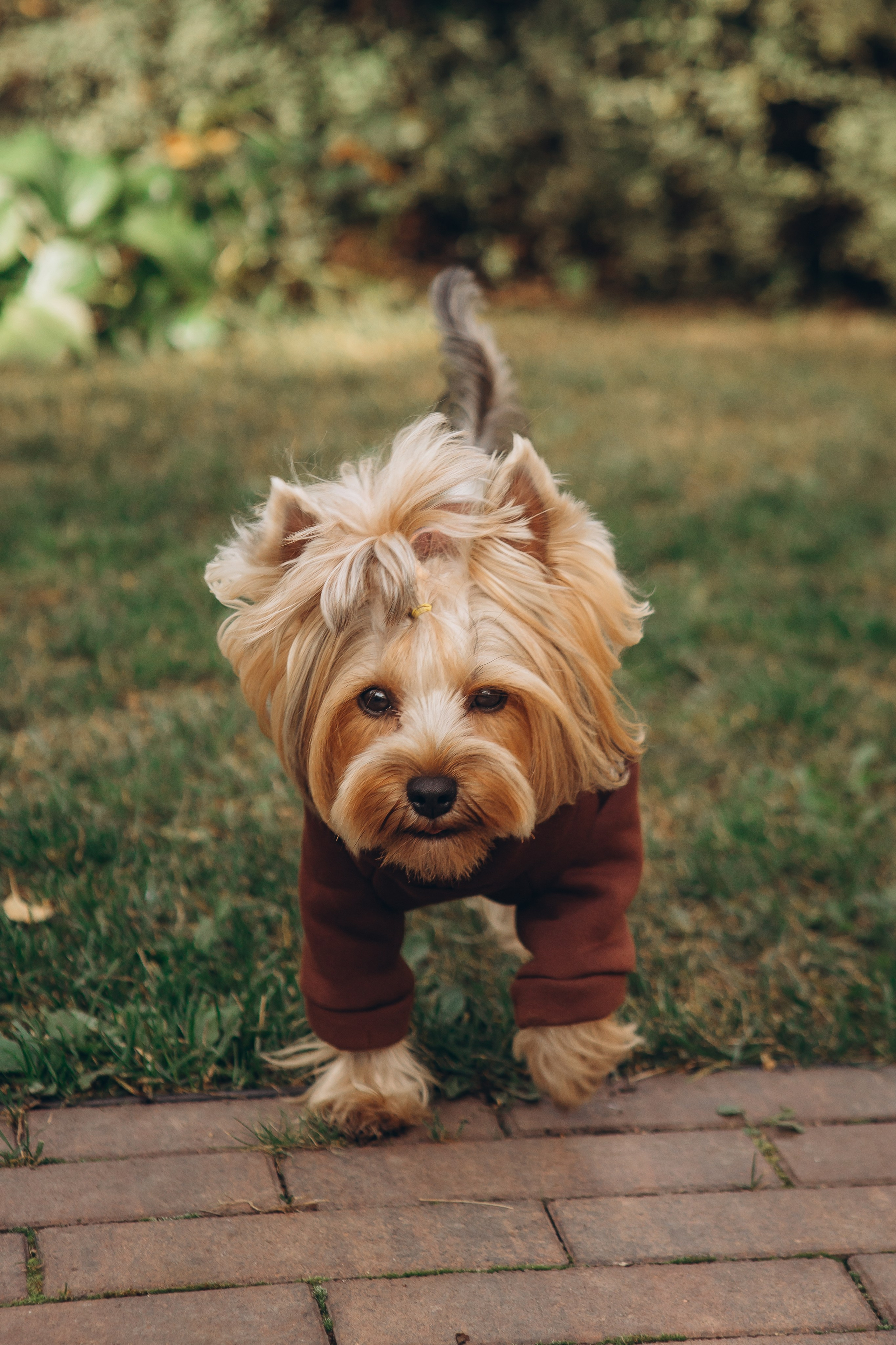Беременность. Семейный фотограф Маруся Самылкина в Санкт-Петербурге