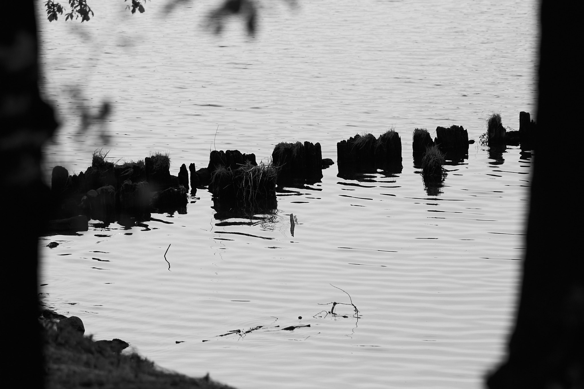 Вокруг. Фотограф Сергей Яркин