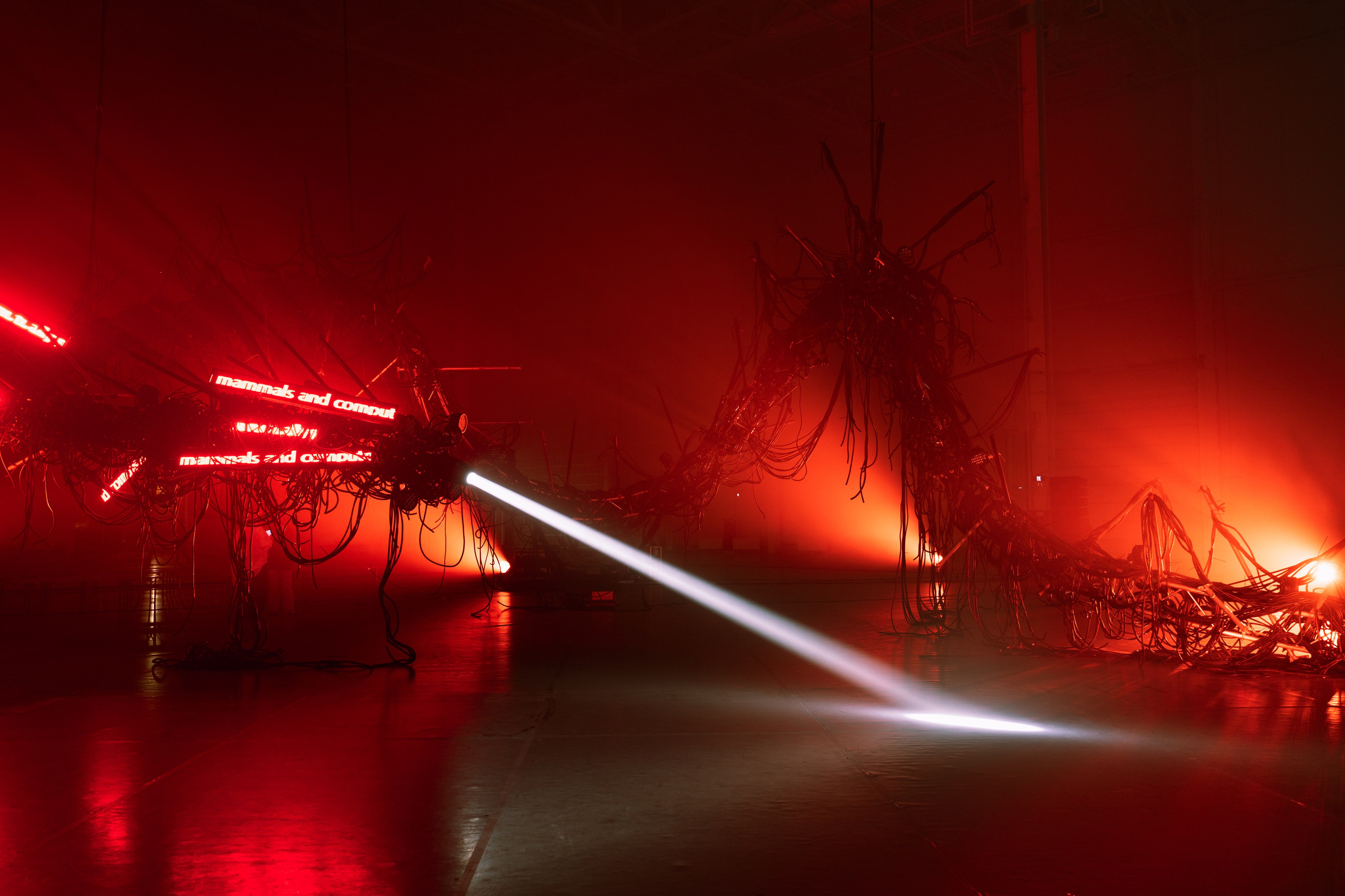 PANTERRA, CHRONOMORPH 001. @tomrus: Рустам Шагиморданов — фотограф