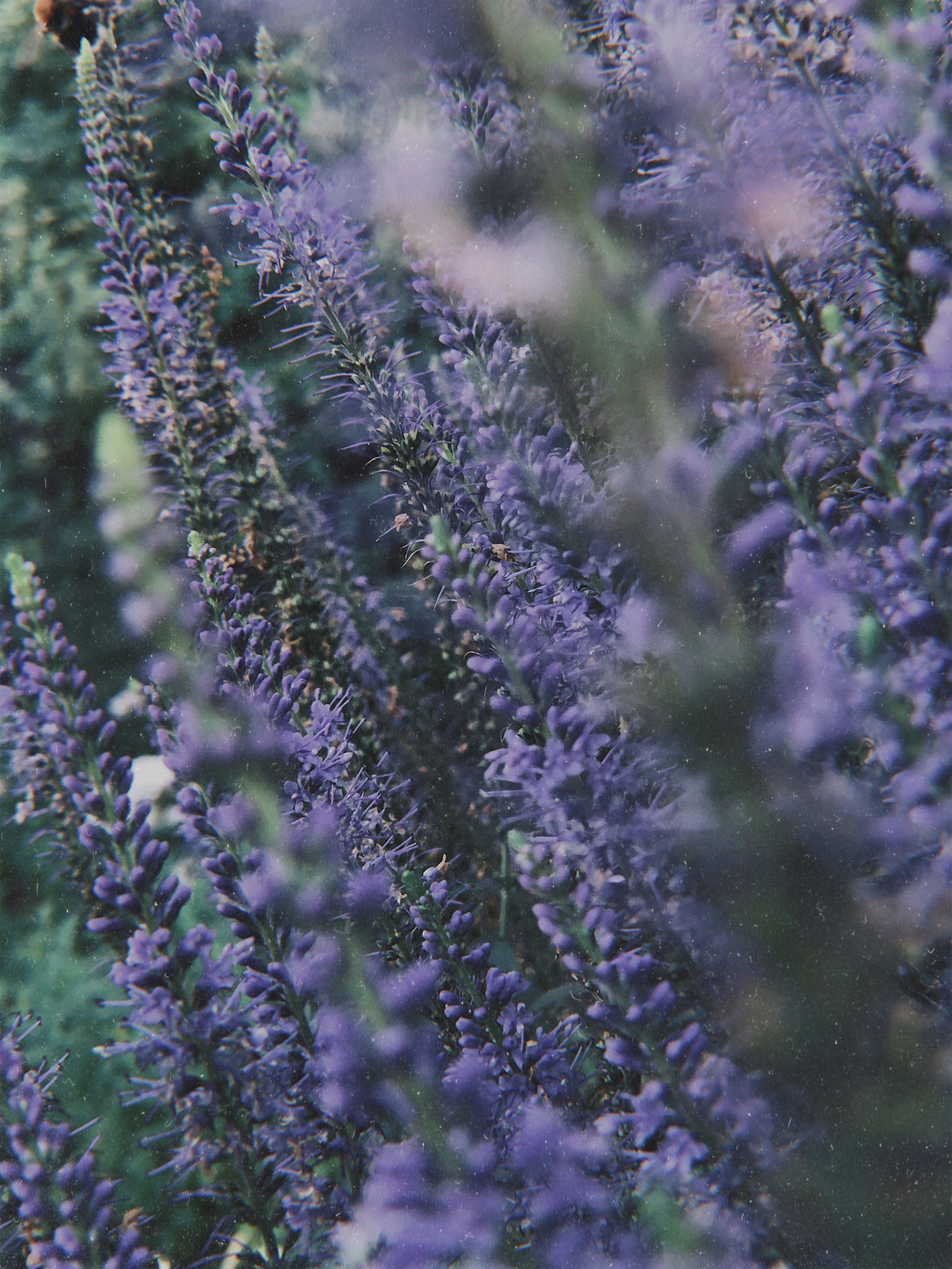 Визуальный дневник. Портретный фотограф в Москве Гахраманова Екатерина