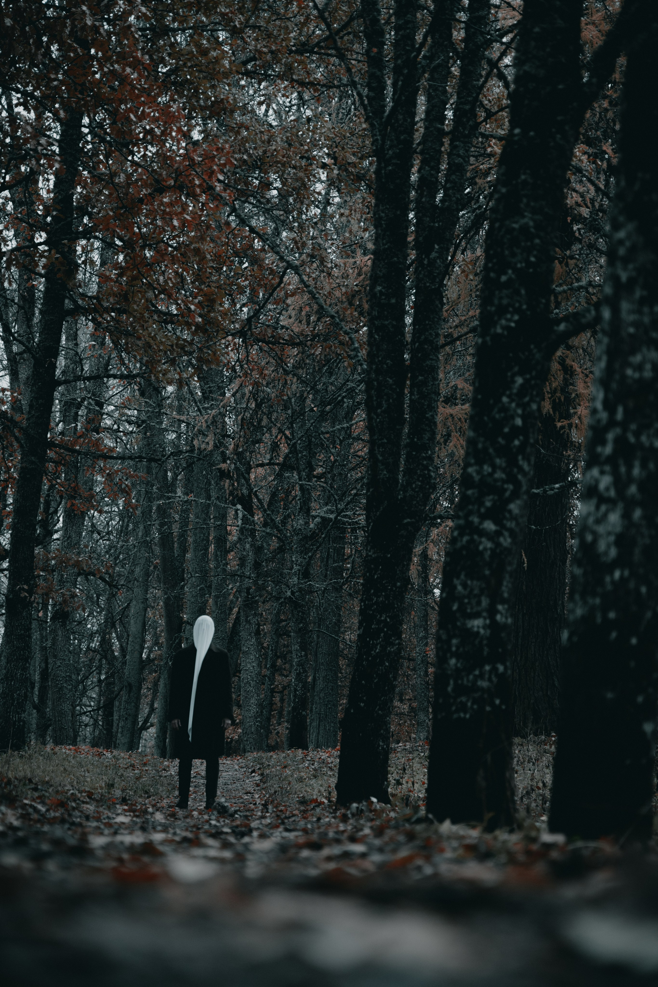 IVAN MESHCHERYAKOV. Фотограф