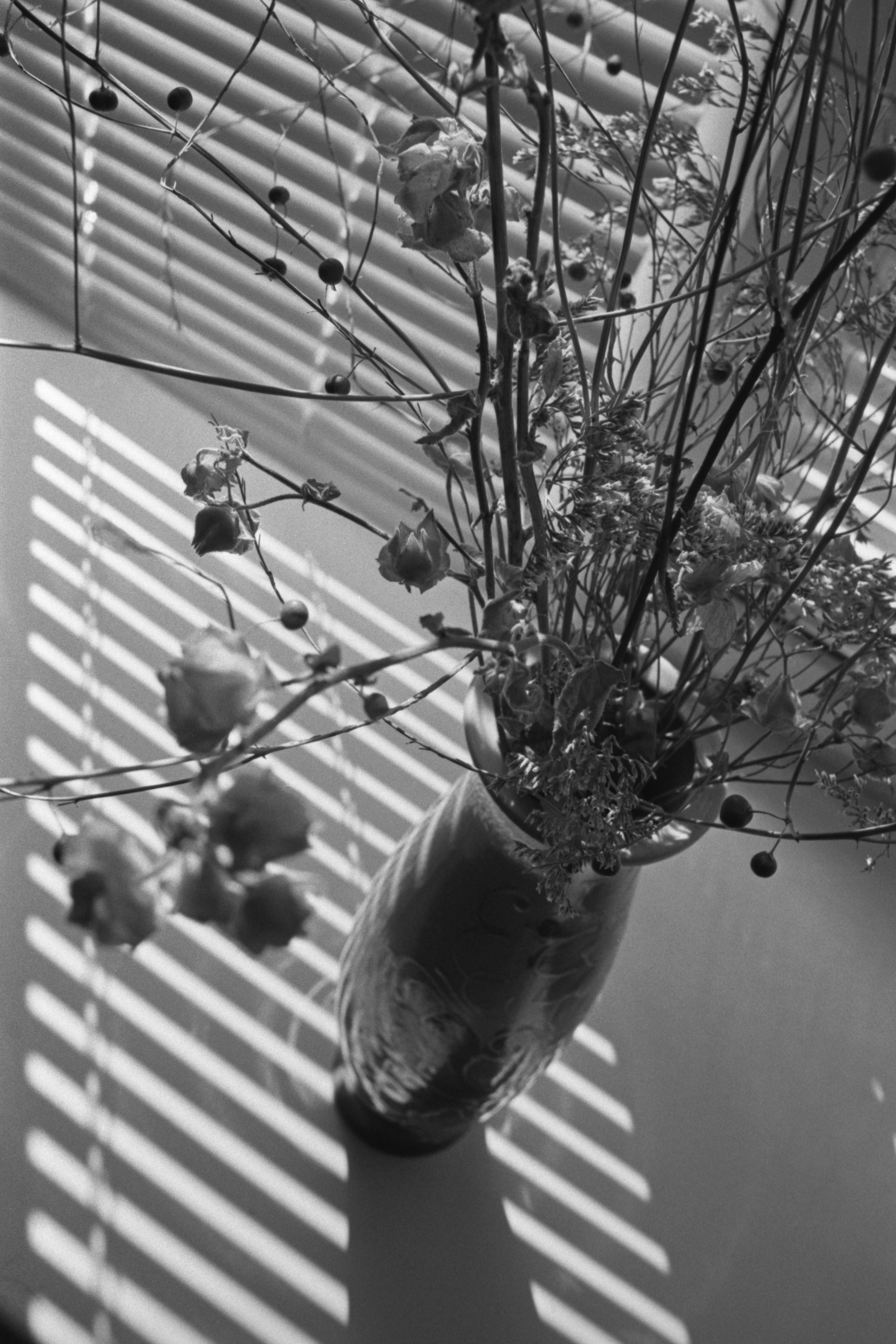 Пленочная история. Дмитрий Пропадалин, Нейрофотография